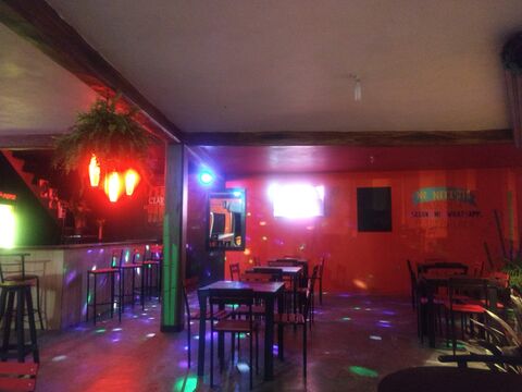 The Bamboo image 5