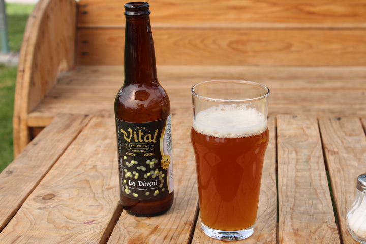 Beer Garden "El Tejabán" image 2