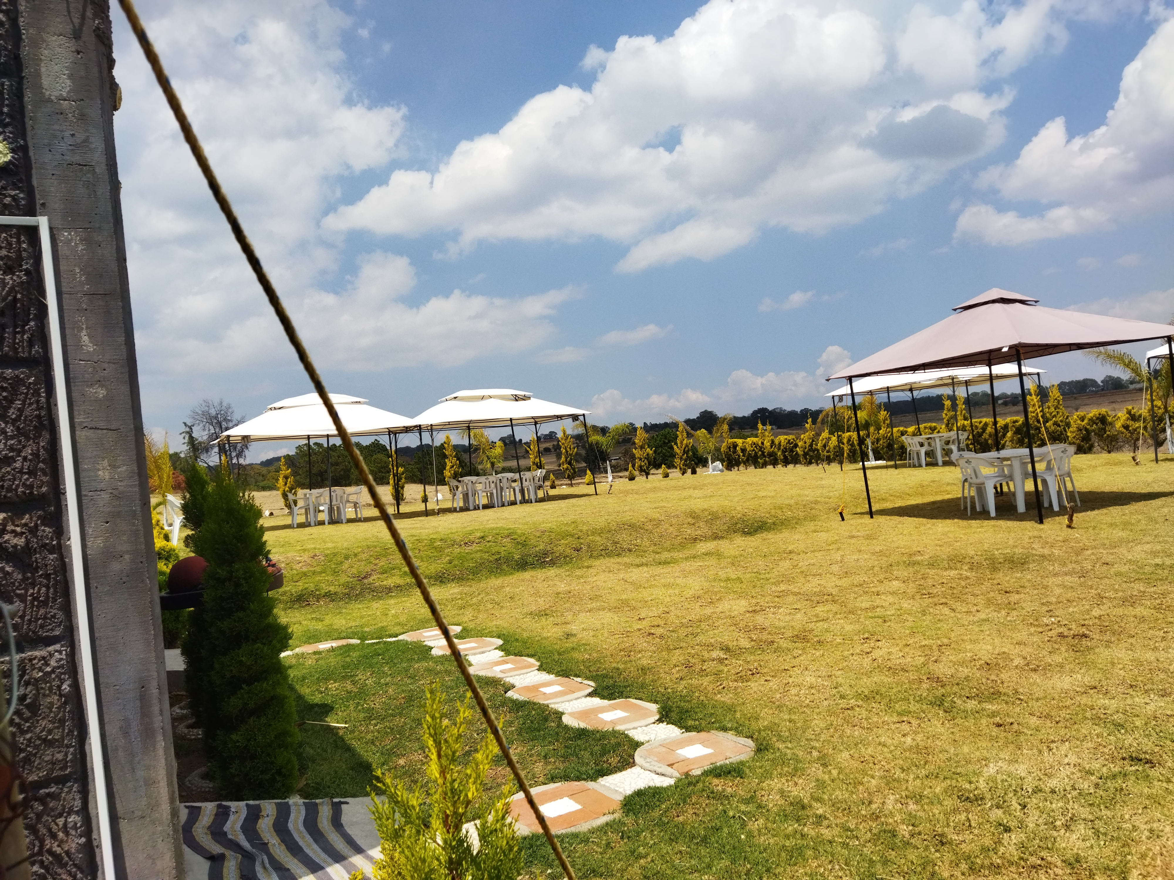 Los che's compadres image 3