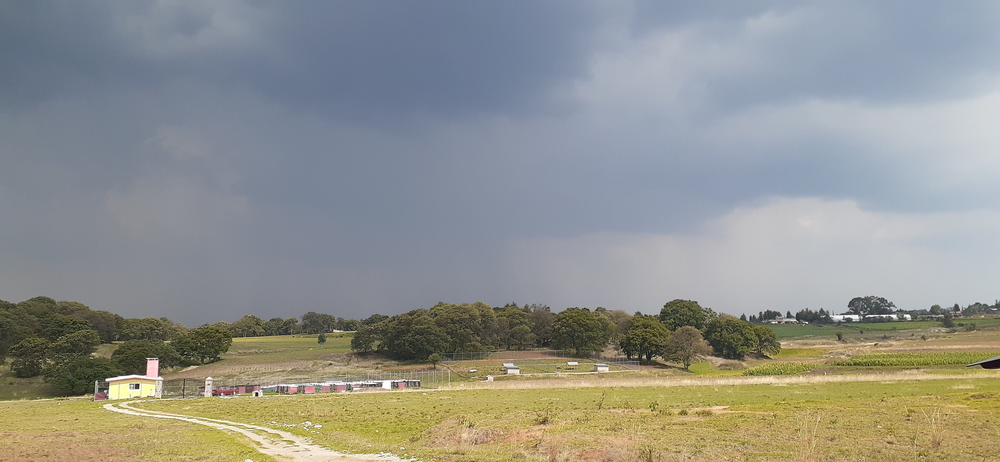 Los che's compadres image 5