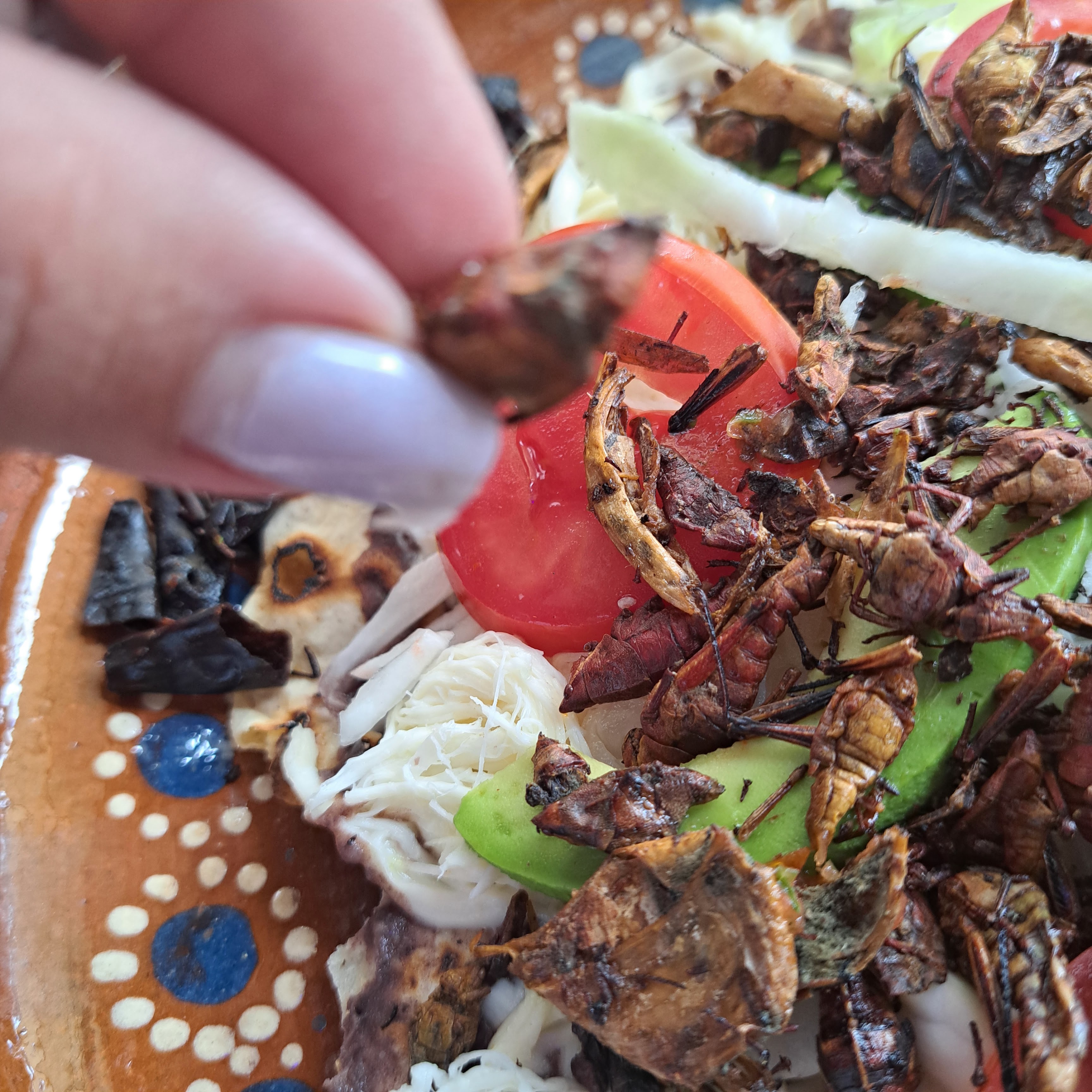 Restaurante Finca O. Sucursal Hidalgo image 2