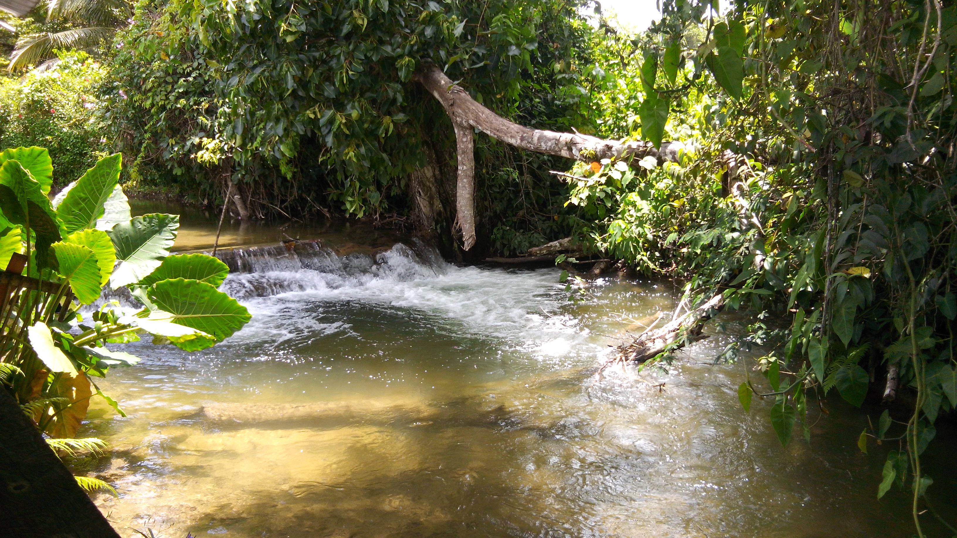 CAMPAMENTO YATOCH BUJ image 3