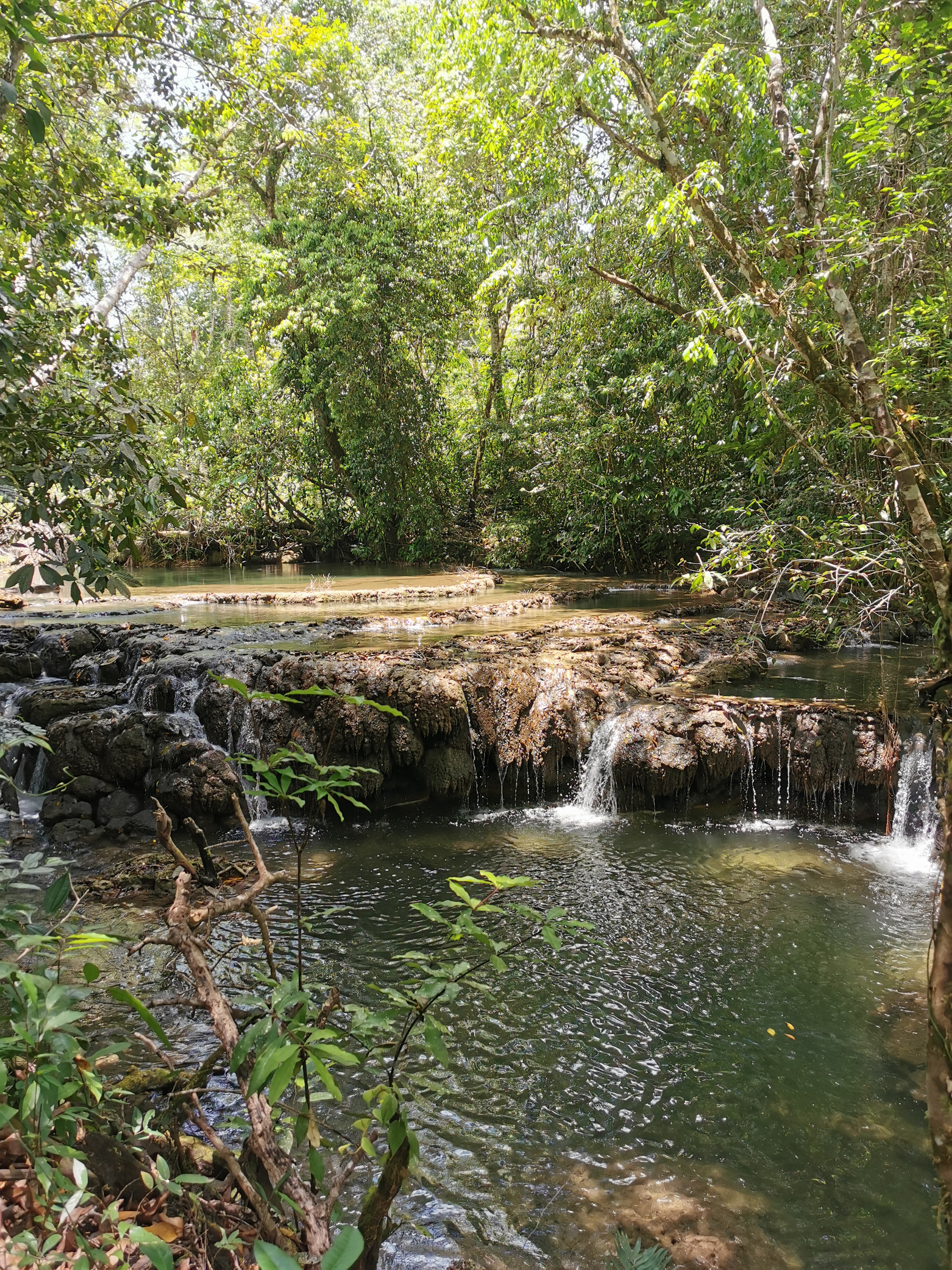 CAMPAMENTO YATOCH BUJ image 4
