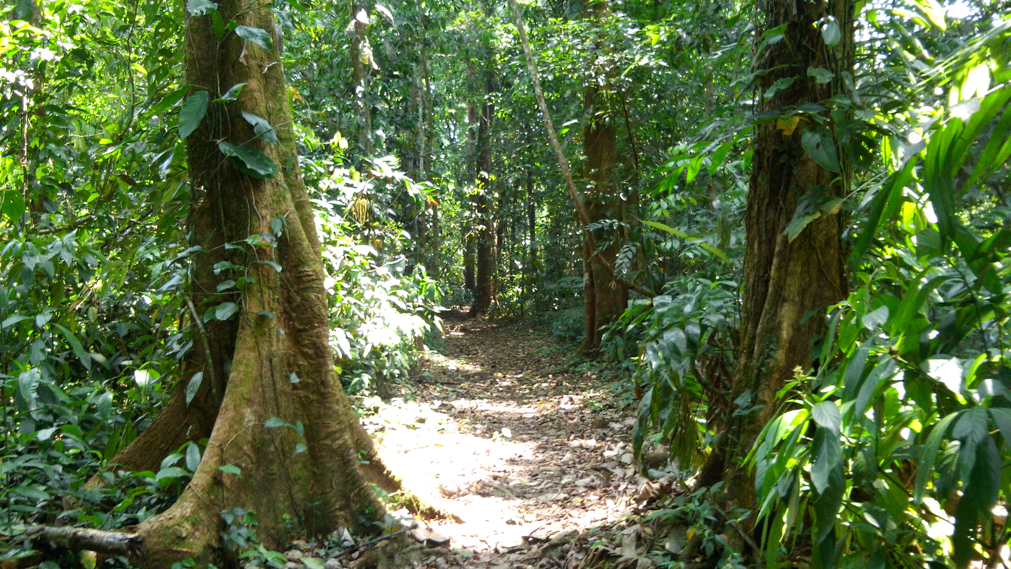 CAMPAMENTO YATOCH BUJ image 8