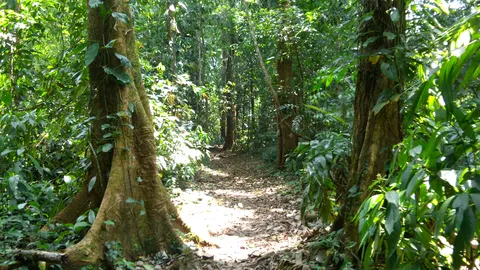 CAMPAMENTO YATOCH BUJ image 8