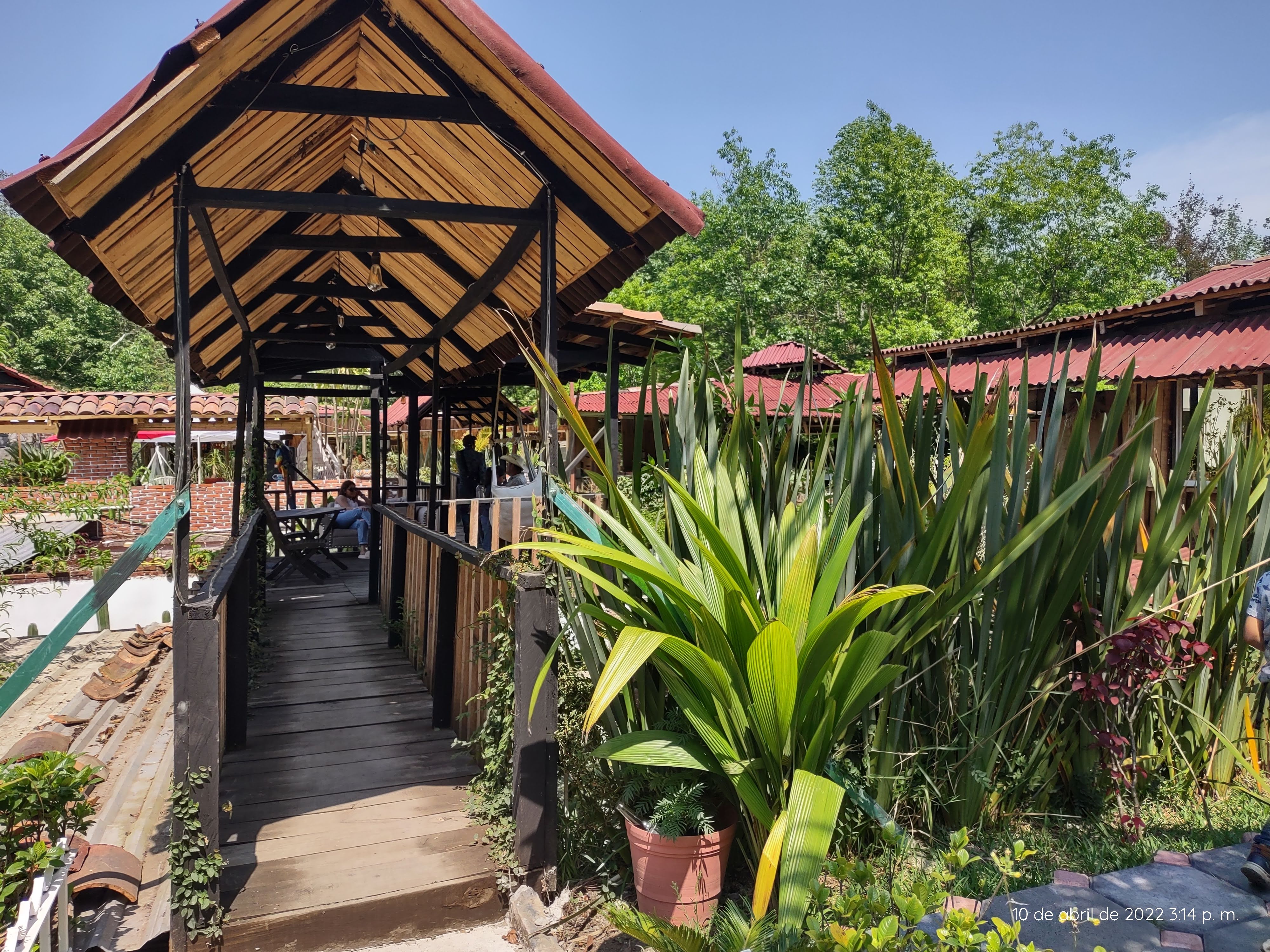 Restaurante El Chepe image 9