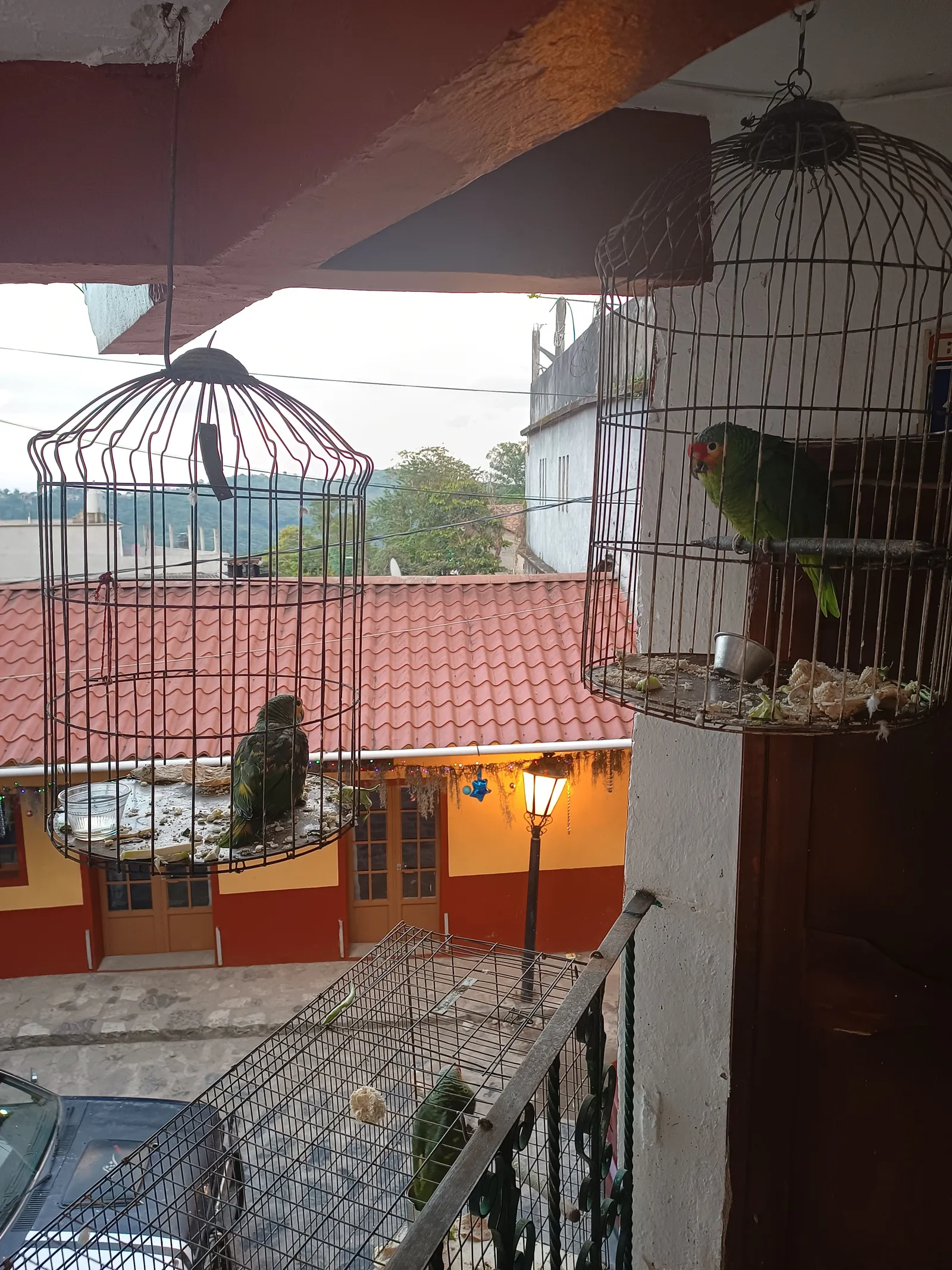 Restaurant villajaiba image 9