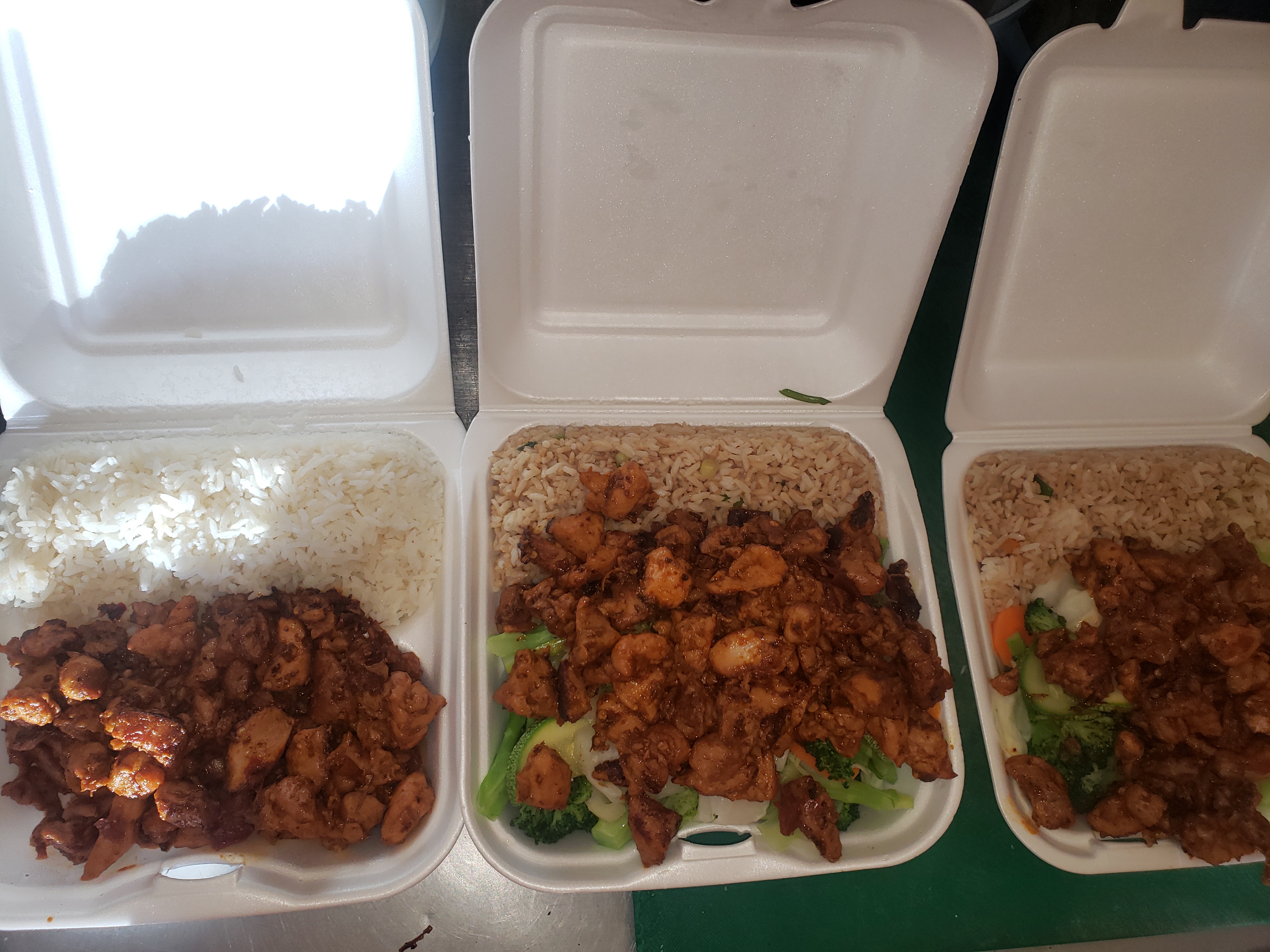 POLLO EXPRESS DELTA 2011 image 2