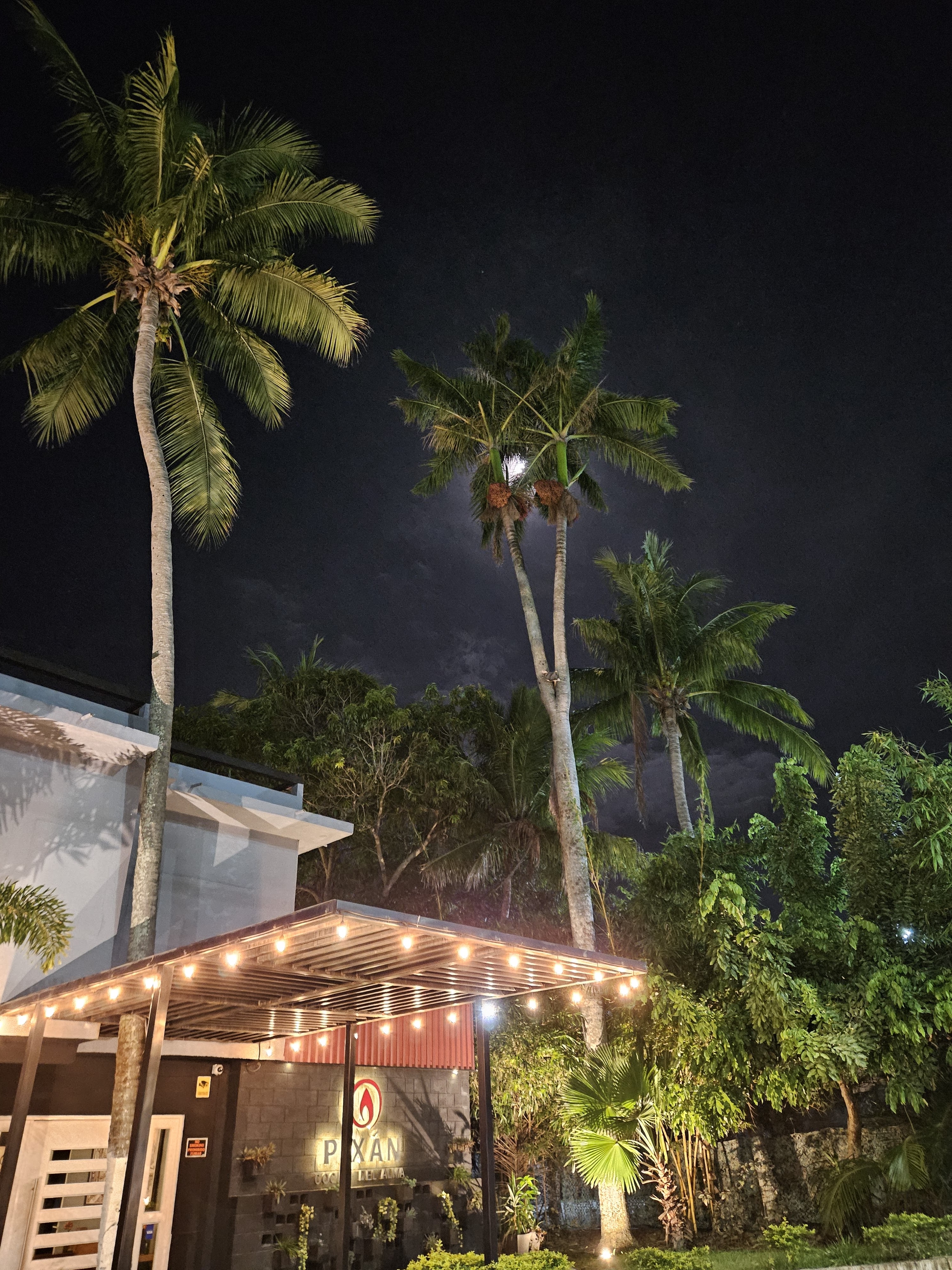 Pixán Cocina del Alma image 7