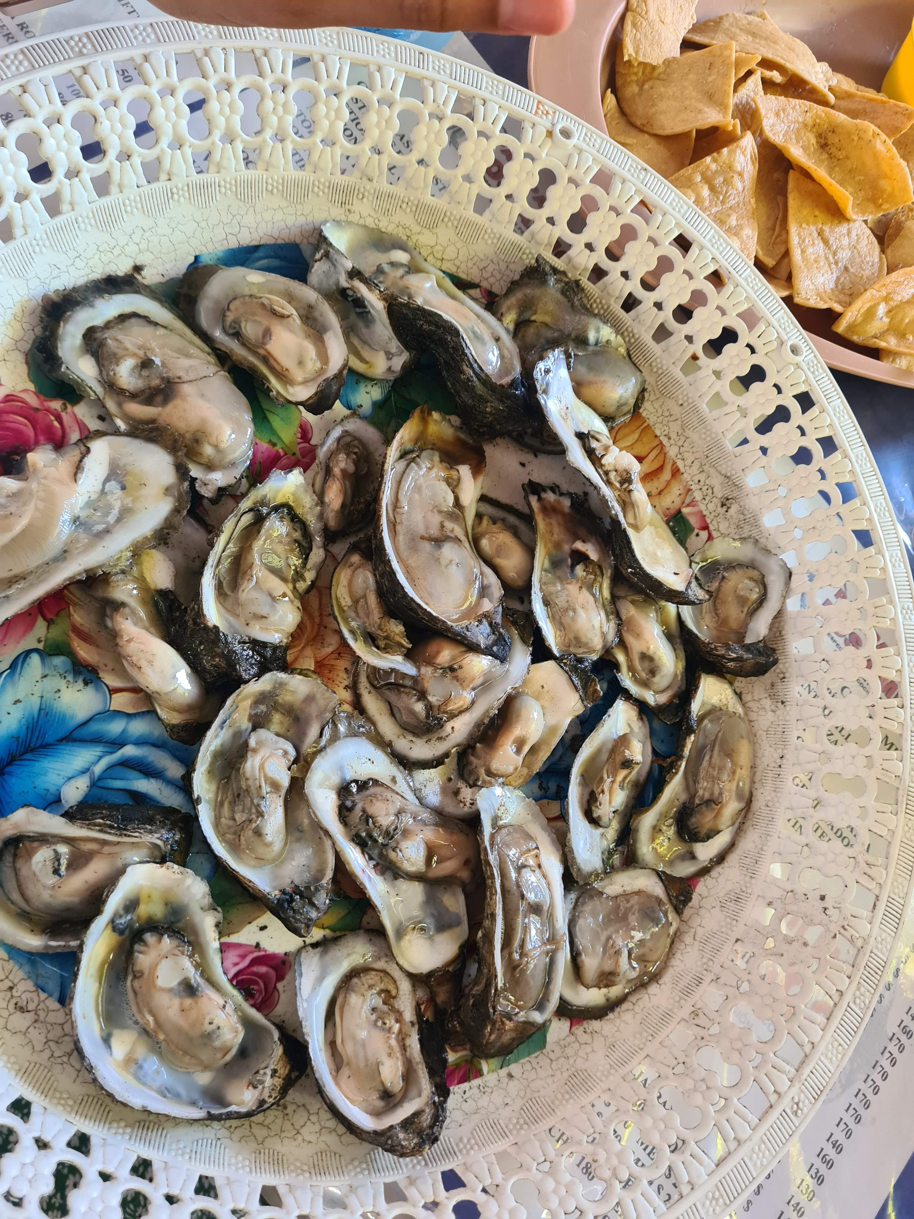 Palapa Los Amigos image 3