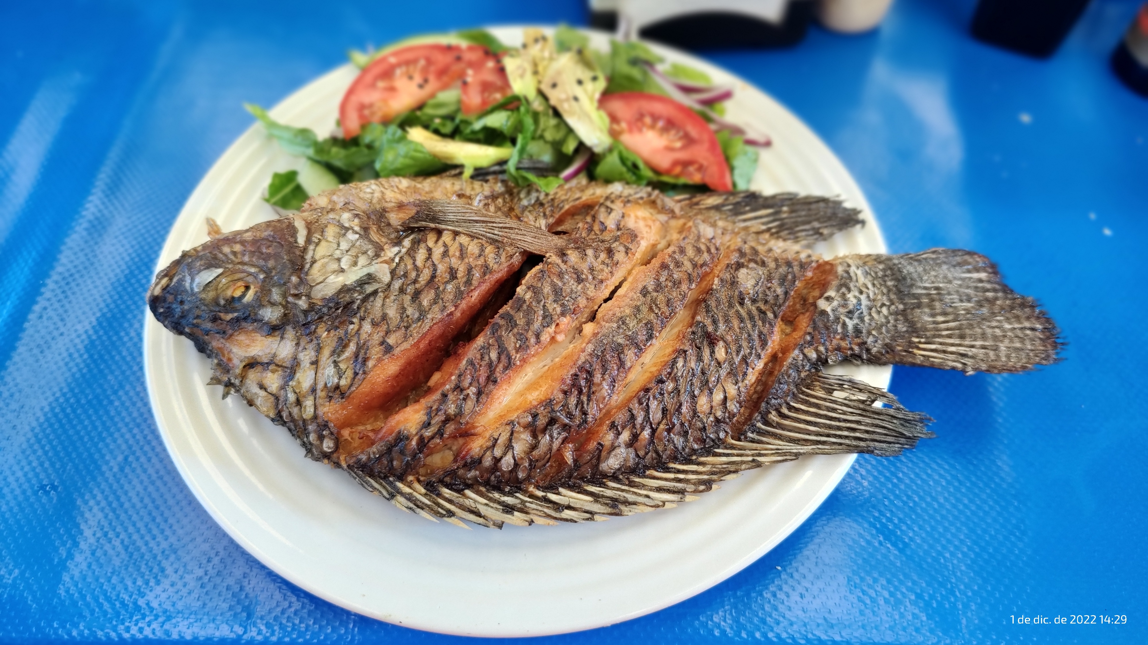 DEEP BLUE Aguachiles y ceviches image 10