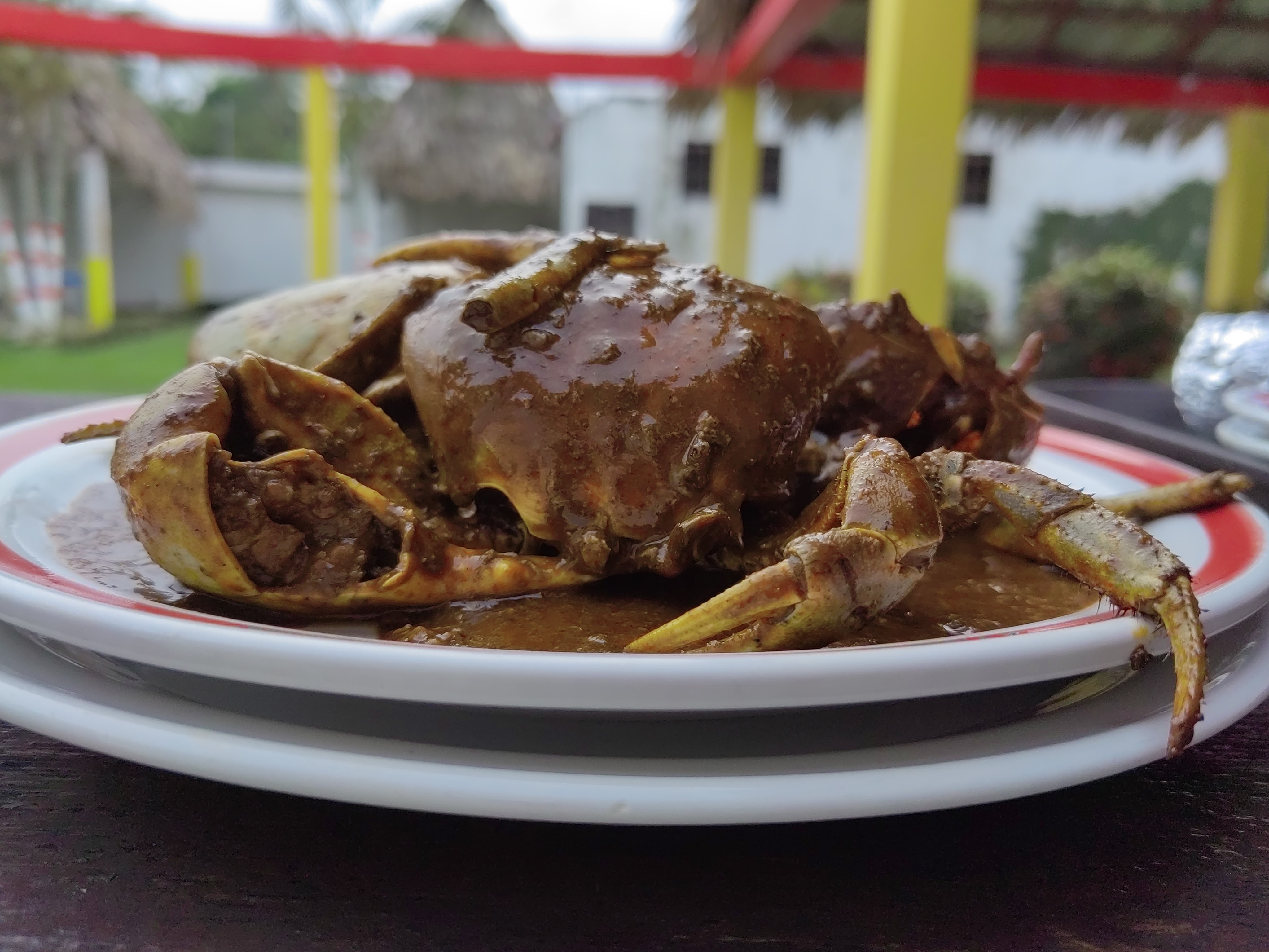 Restaurant Turístico Familiar La Galera 1 image 8