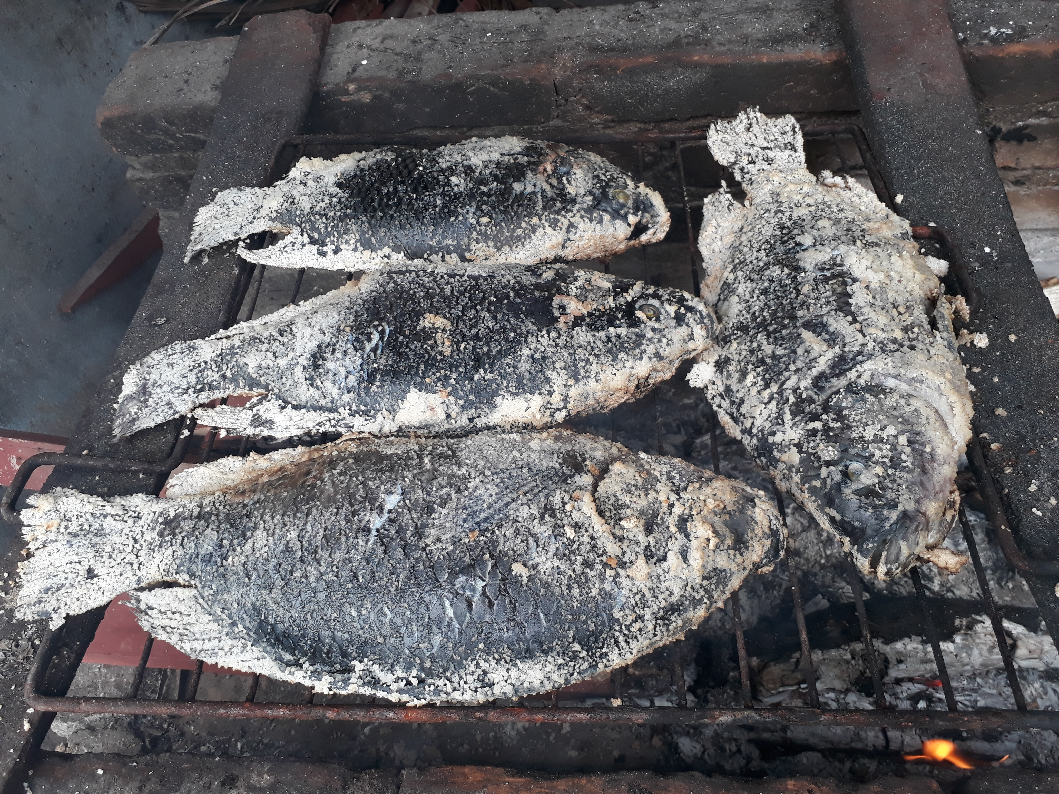 Restaurant Turístico Familiar La Galera 1 image 10