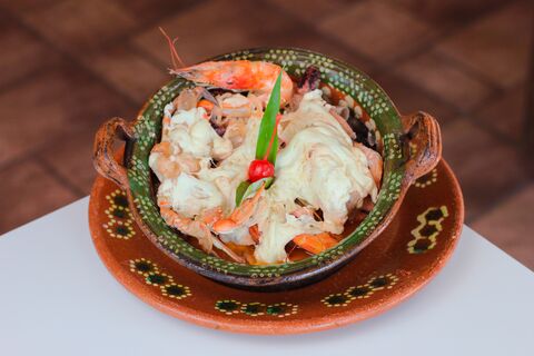 GamaFish image 2