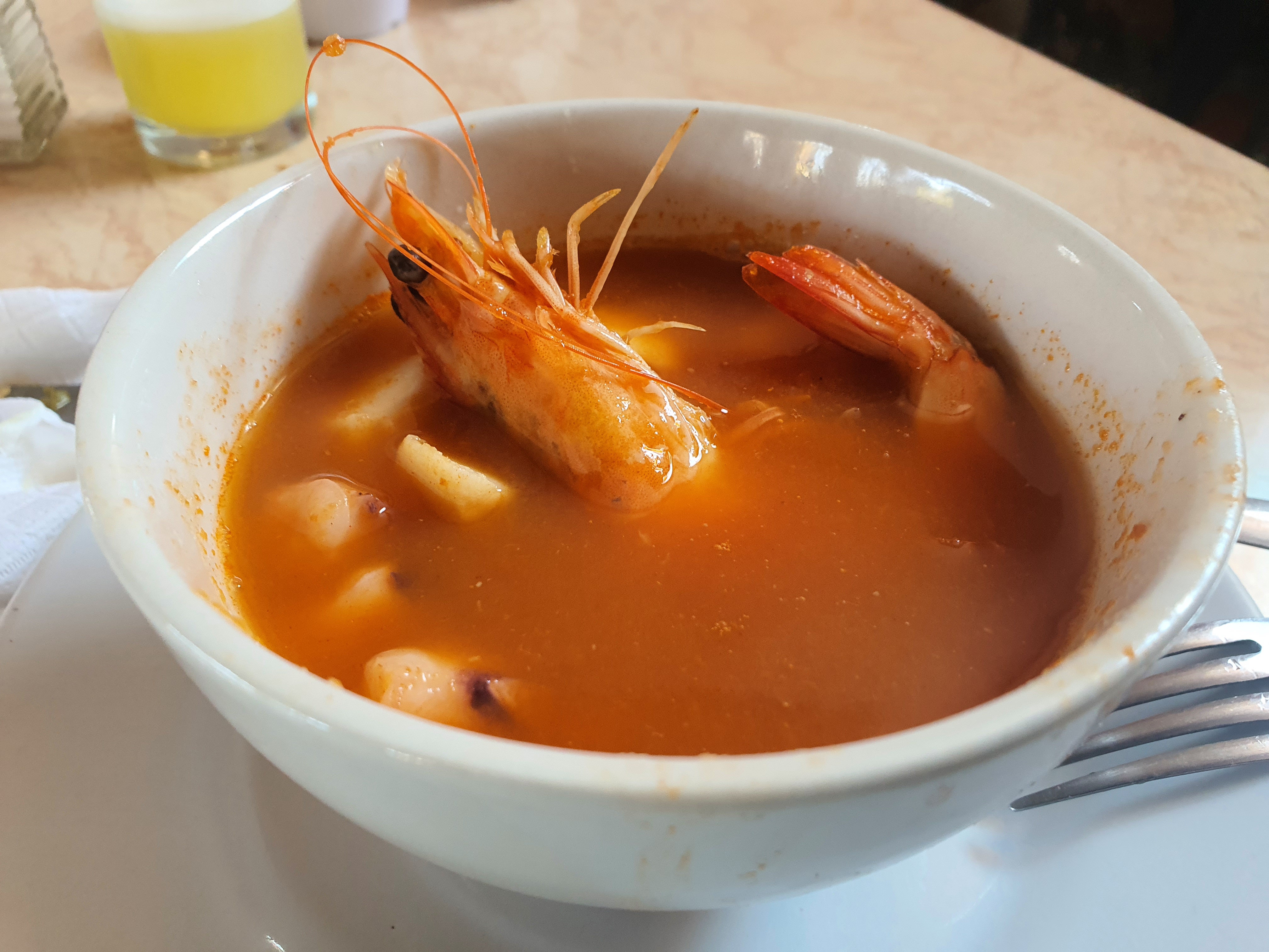 DELFIN DORADO SAN HIPÓLITO image 4