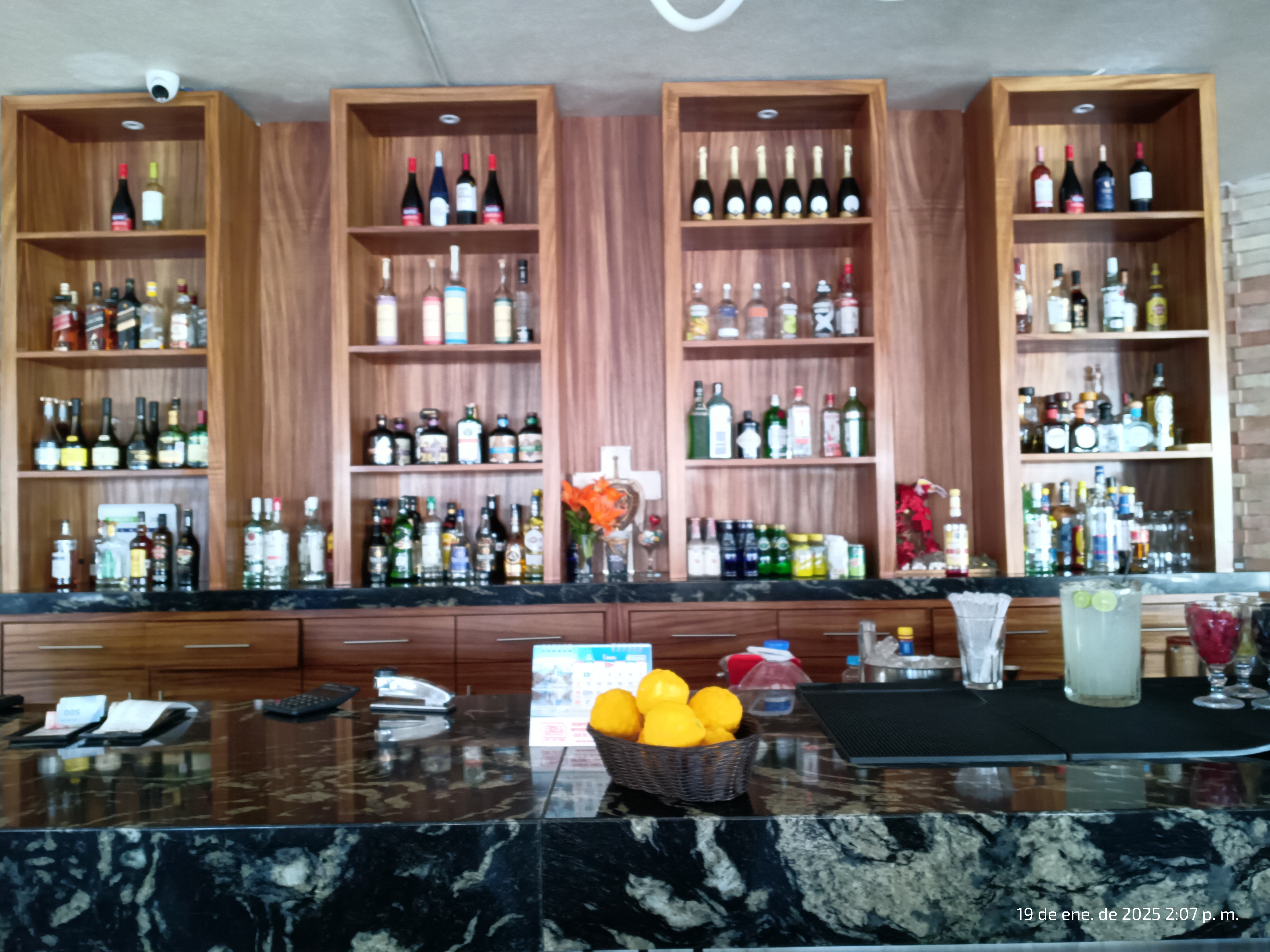 DELFIN DORADO SAN HIPÓLITO image 5