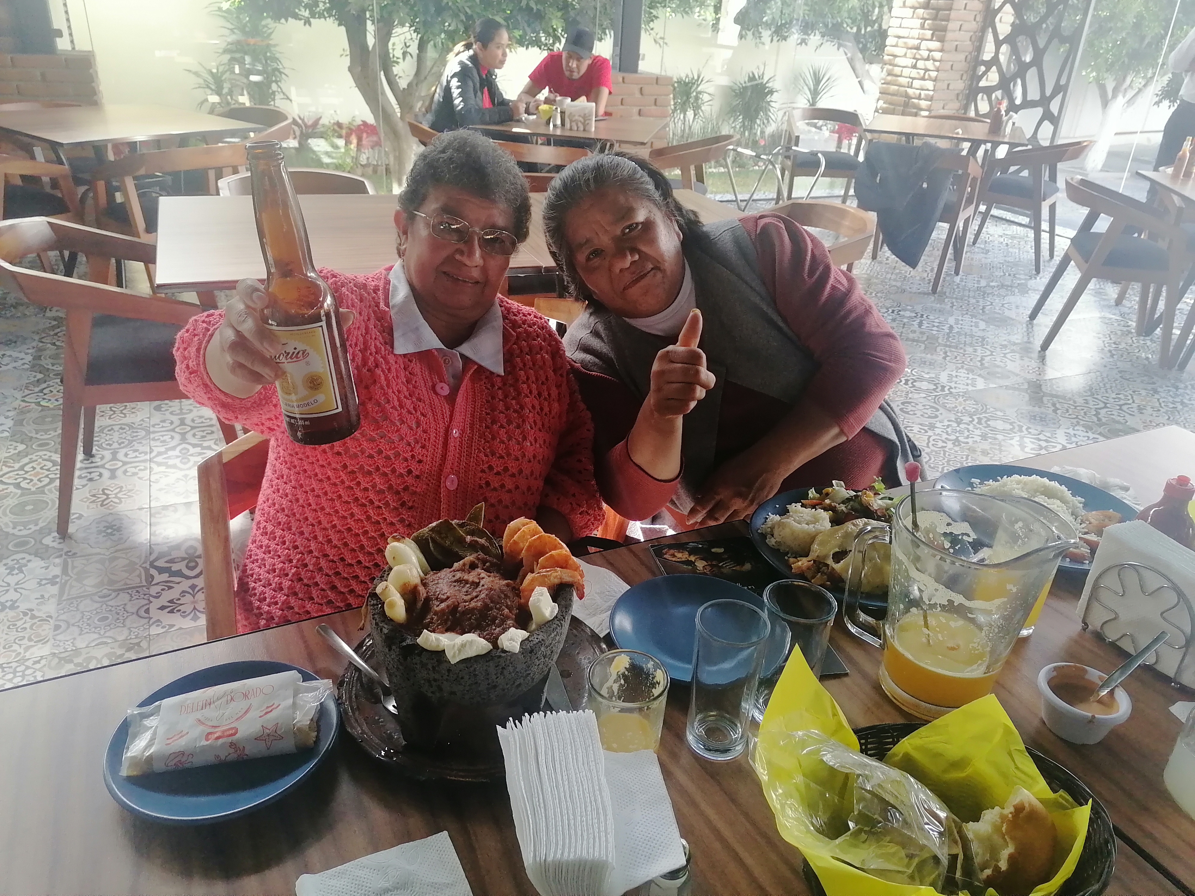 DELFIN DORADO SAN HIPÓLITO image 6