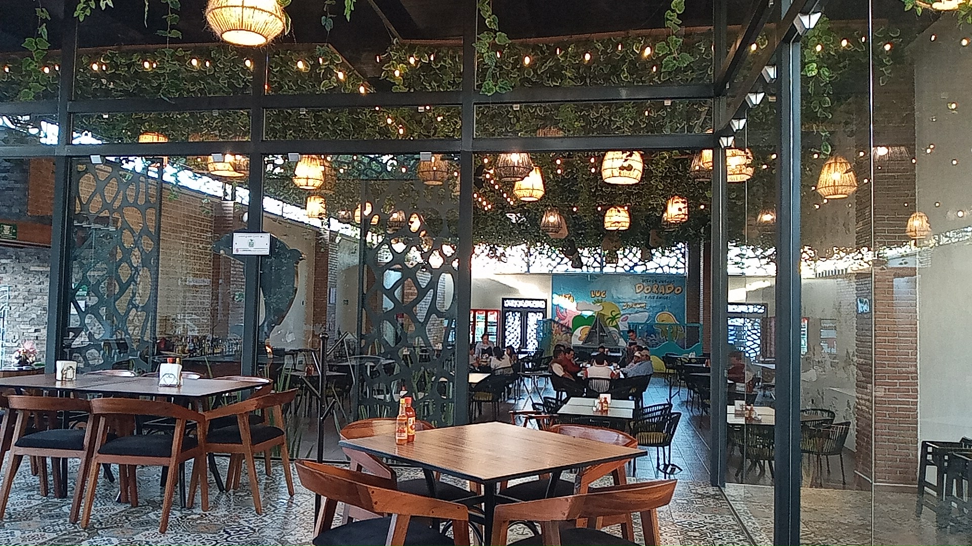 DELFIN DORADO SAN HIPÓLITO image 10