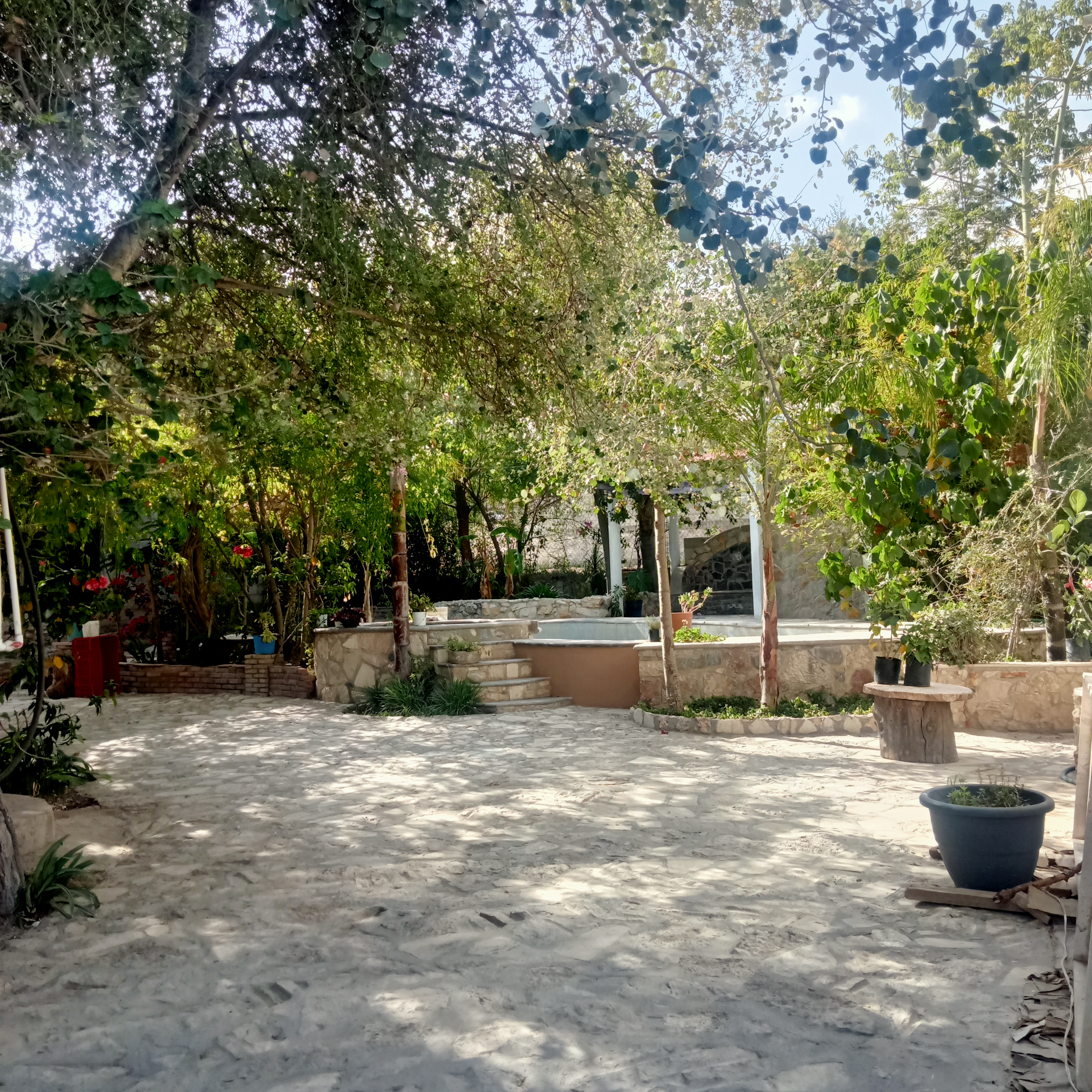 Restaurante Langostinos San Hipólito image 3