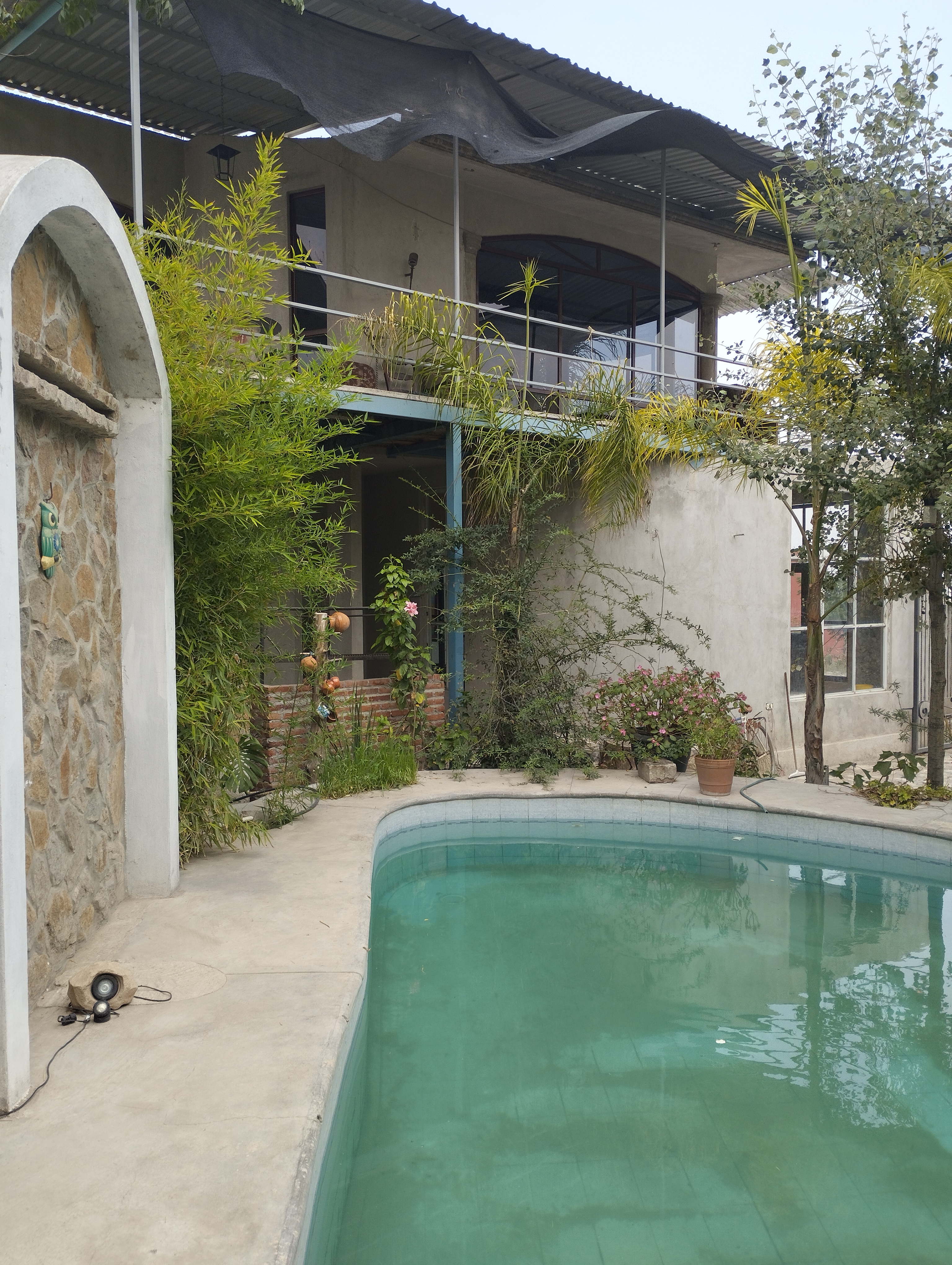 Restaurante Langostinos San Hipólito image 7