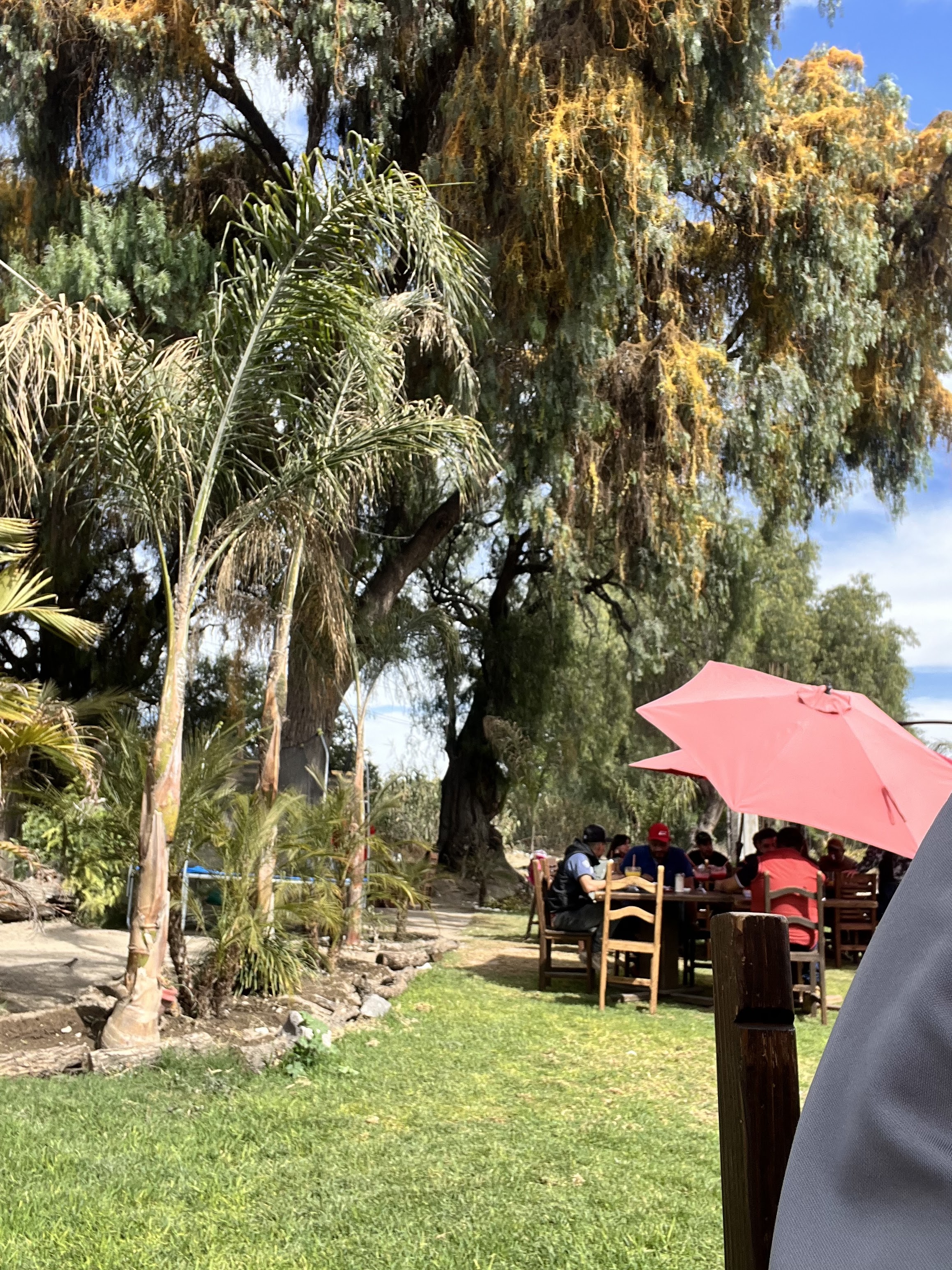 El Moral Restaurante image 9