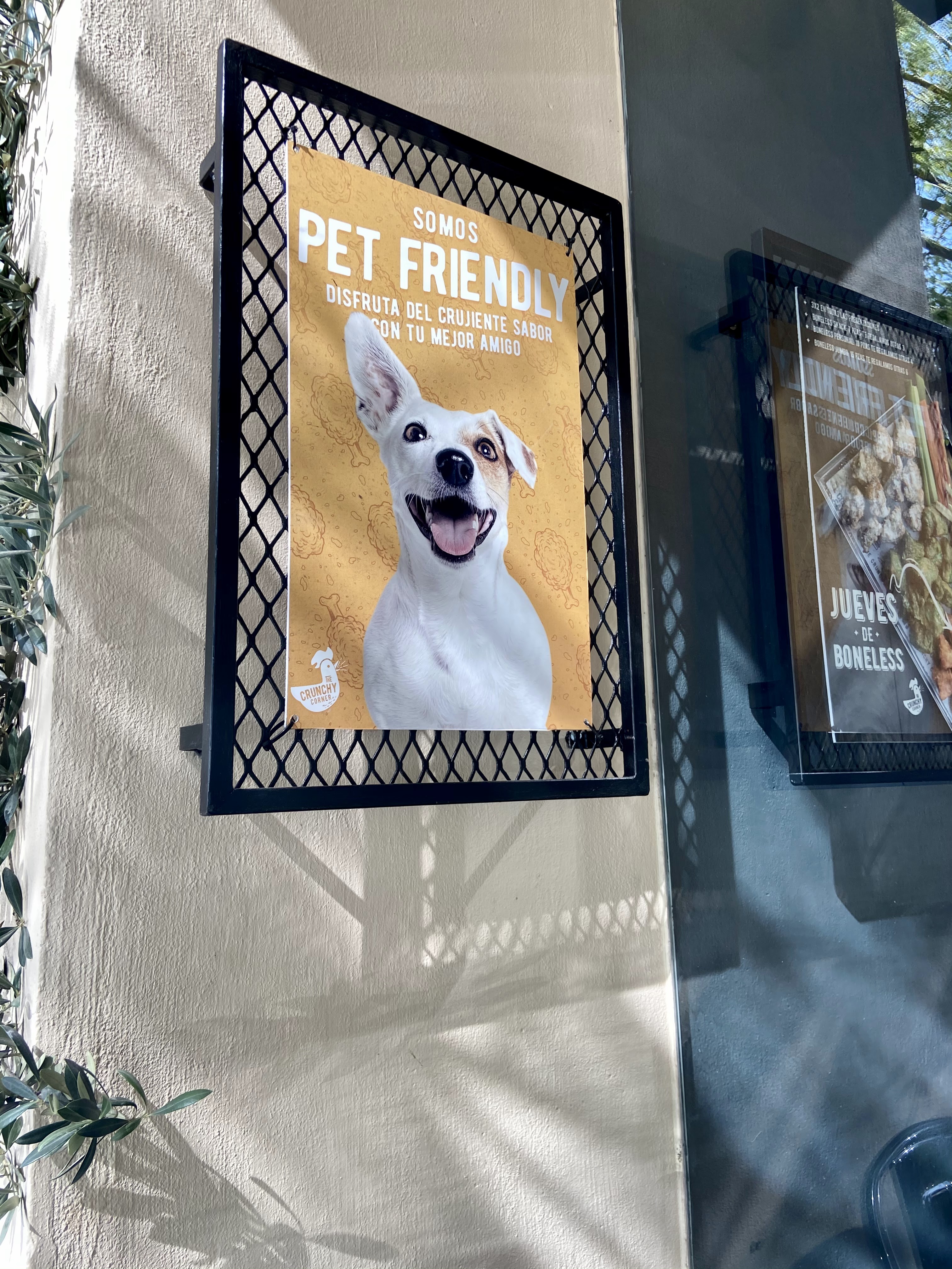 The Crunchy Corner (Plaza Cuatro Hojas) image 7