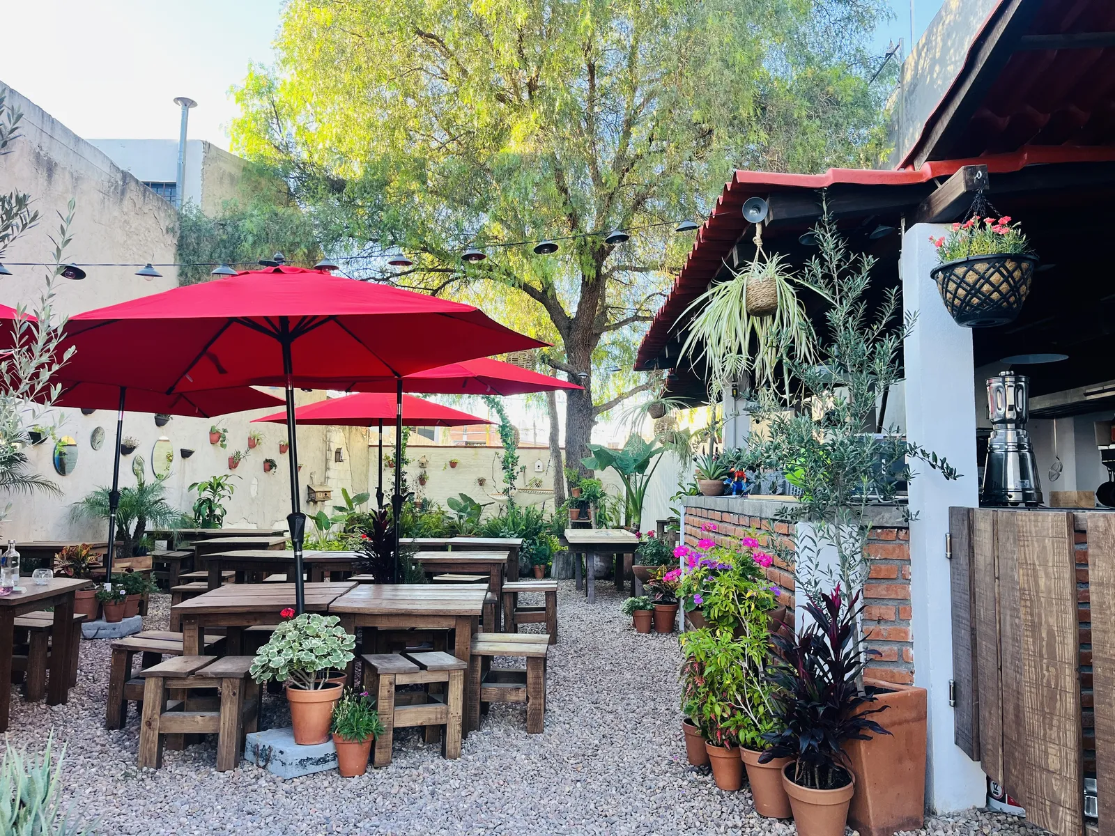 Schinus Restaurant image 1