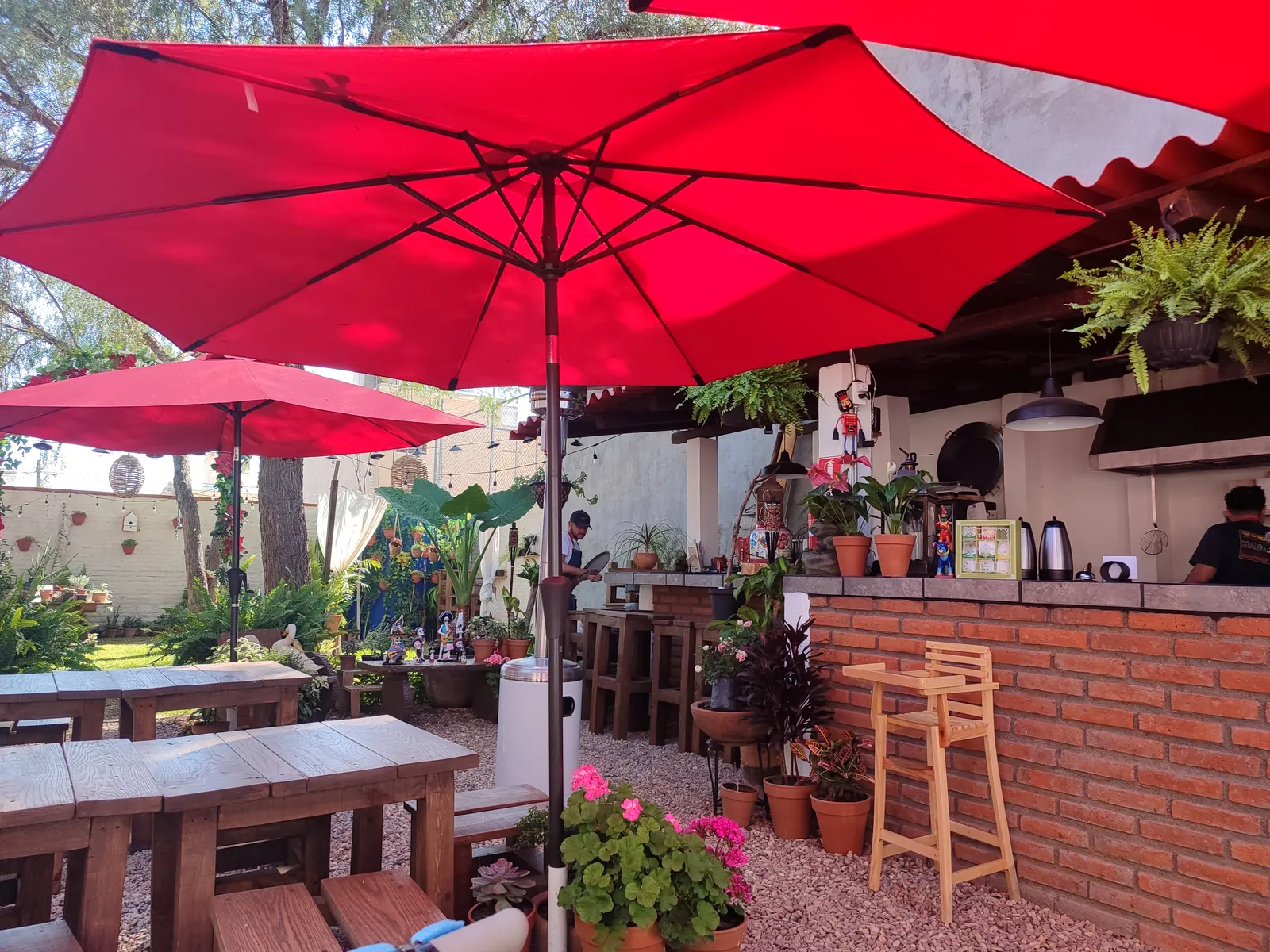 Schinus Restaurant image 2