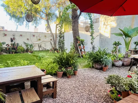 Schinus Restaurant image 6