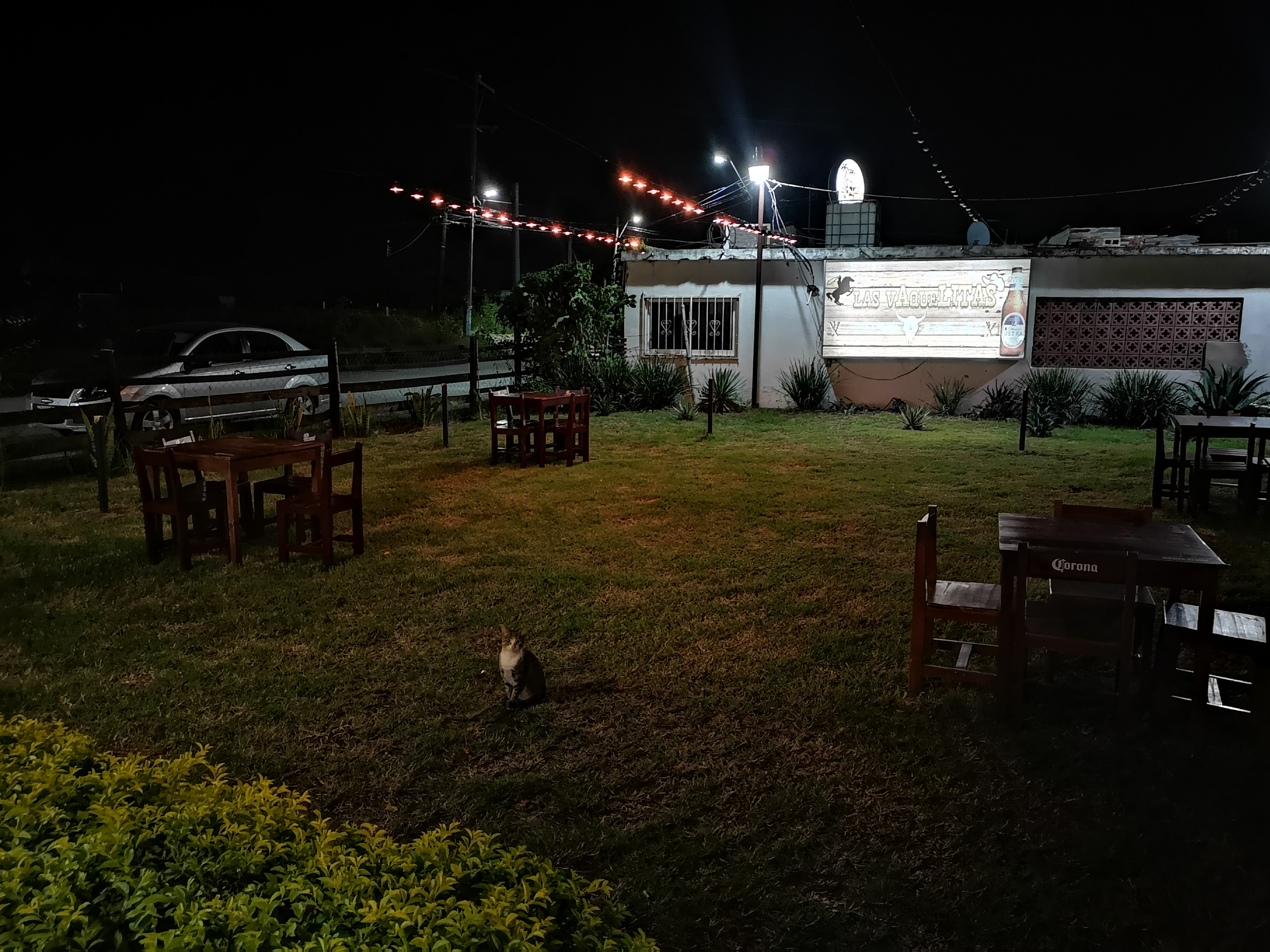 Las VaqueLITAS image 8