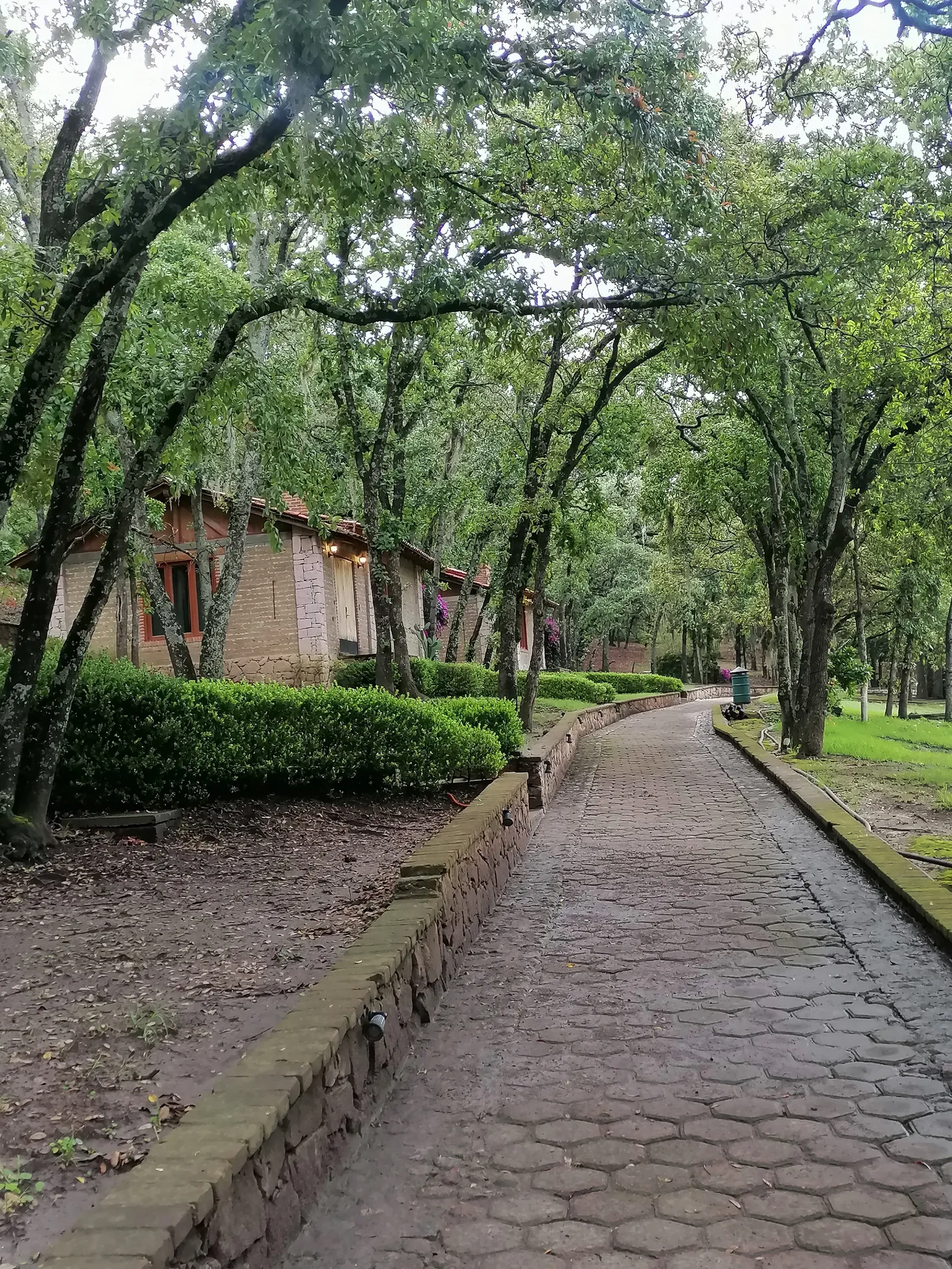 Haras Valle Grande Restaurant image 8