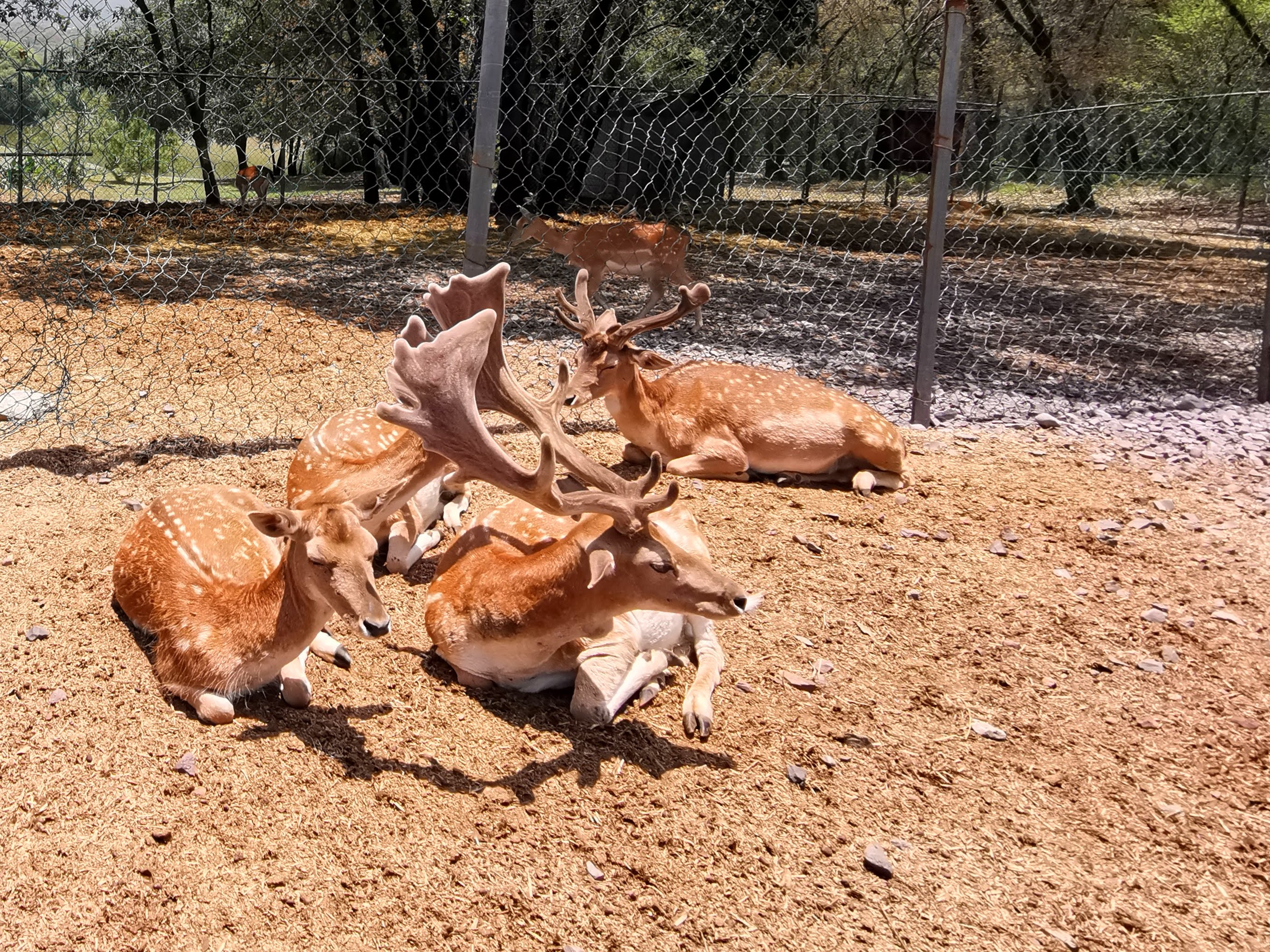 Haras Valle Grande Restaurant image 9