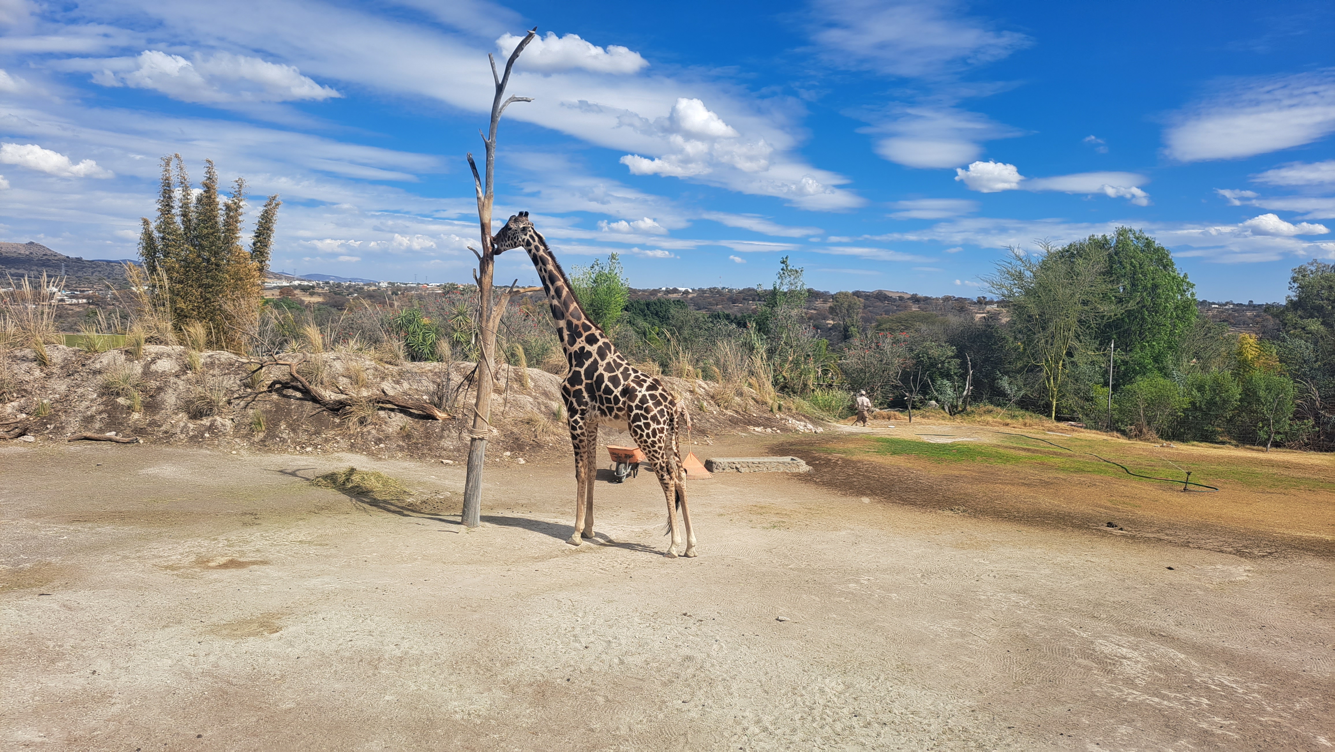 Restaurante Plato Hondo - Africam Safari image 6