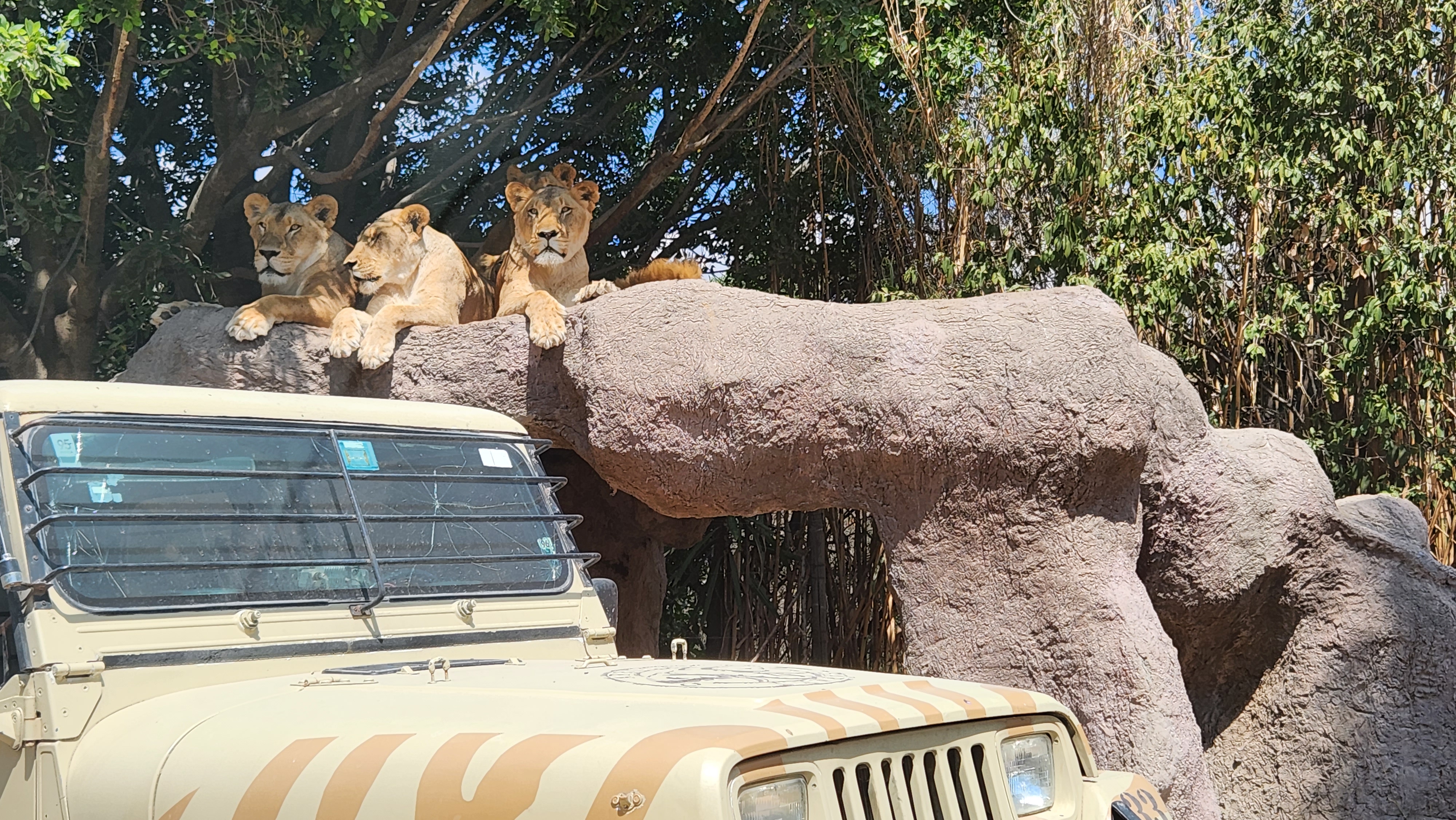 Restaurante Plato Hondo - Africam Safari image 8