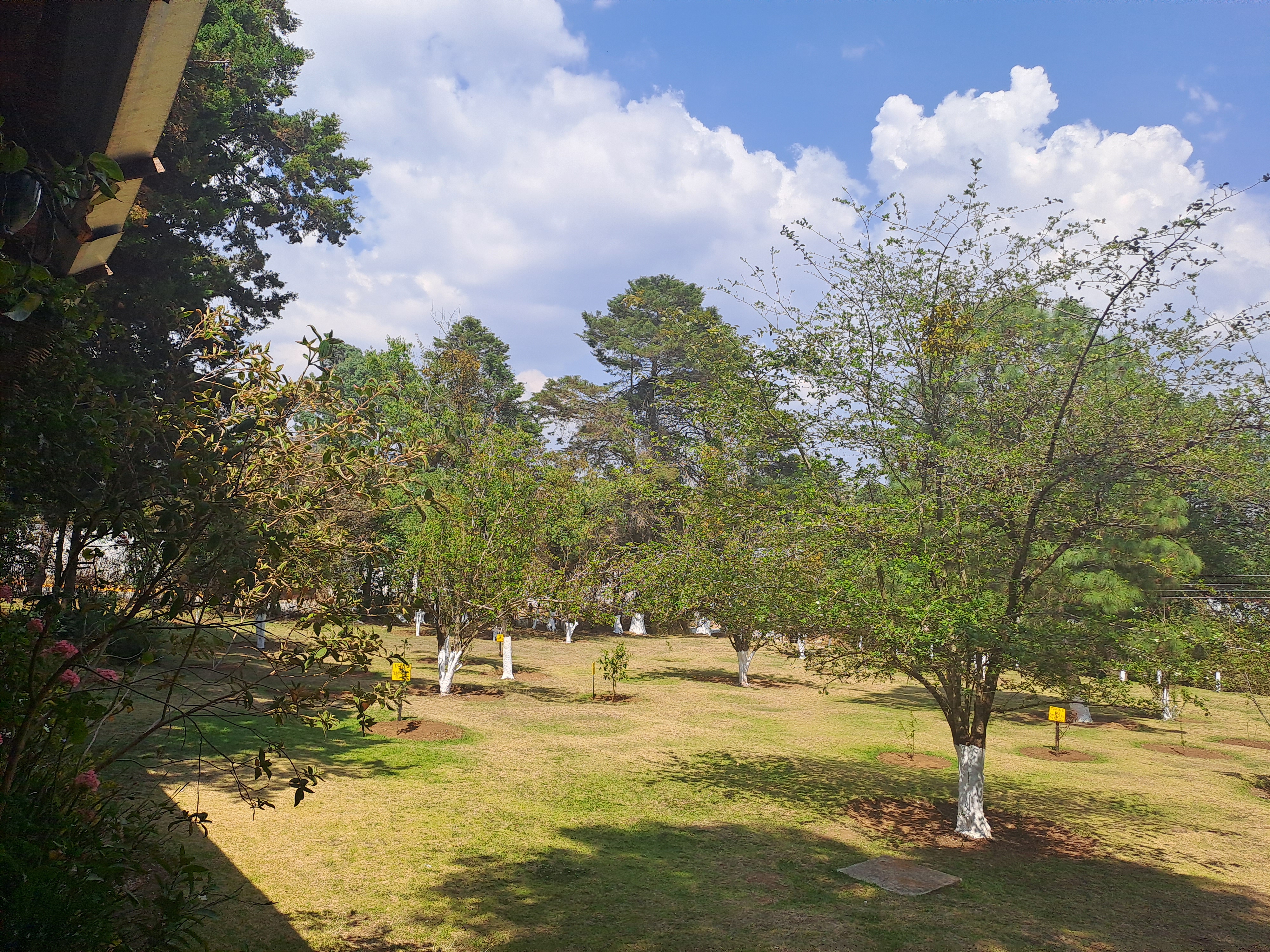 Restaurant El Ranchito image 8