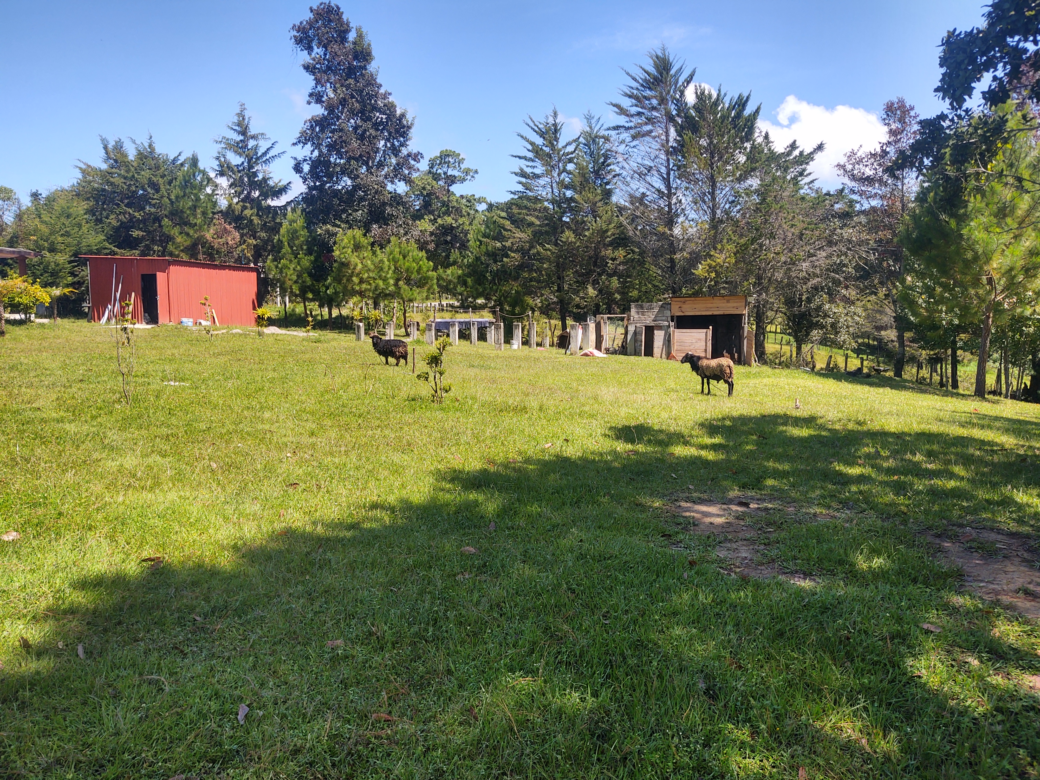 COUNTRY RESTAURANT image 3