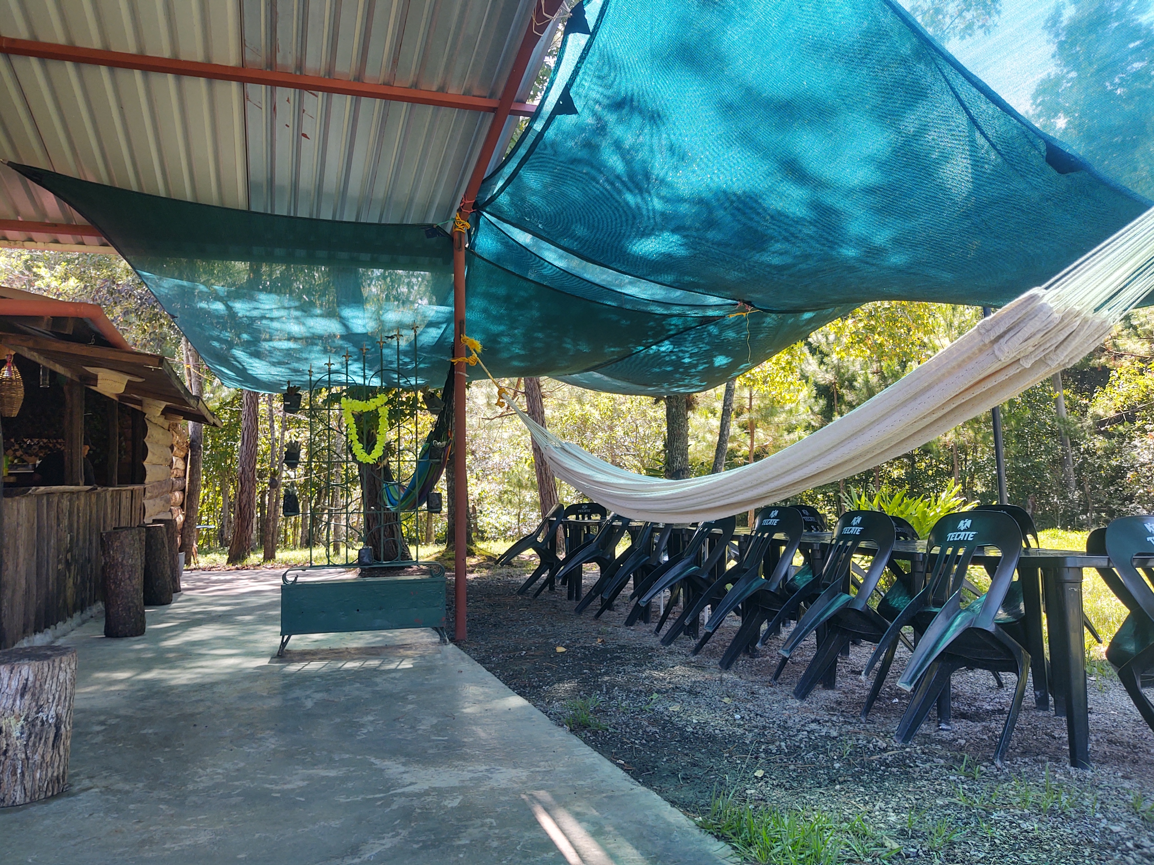 COUNTRY RESTAURANT image 5