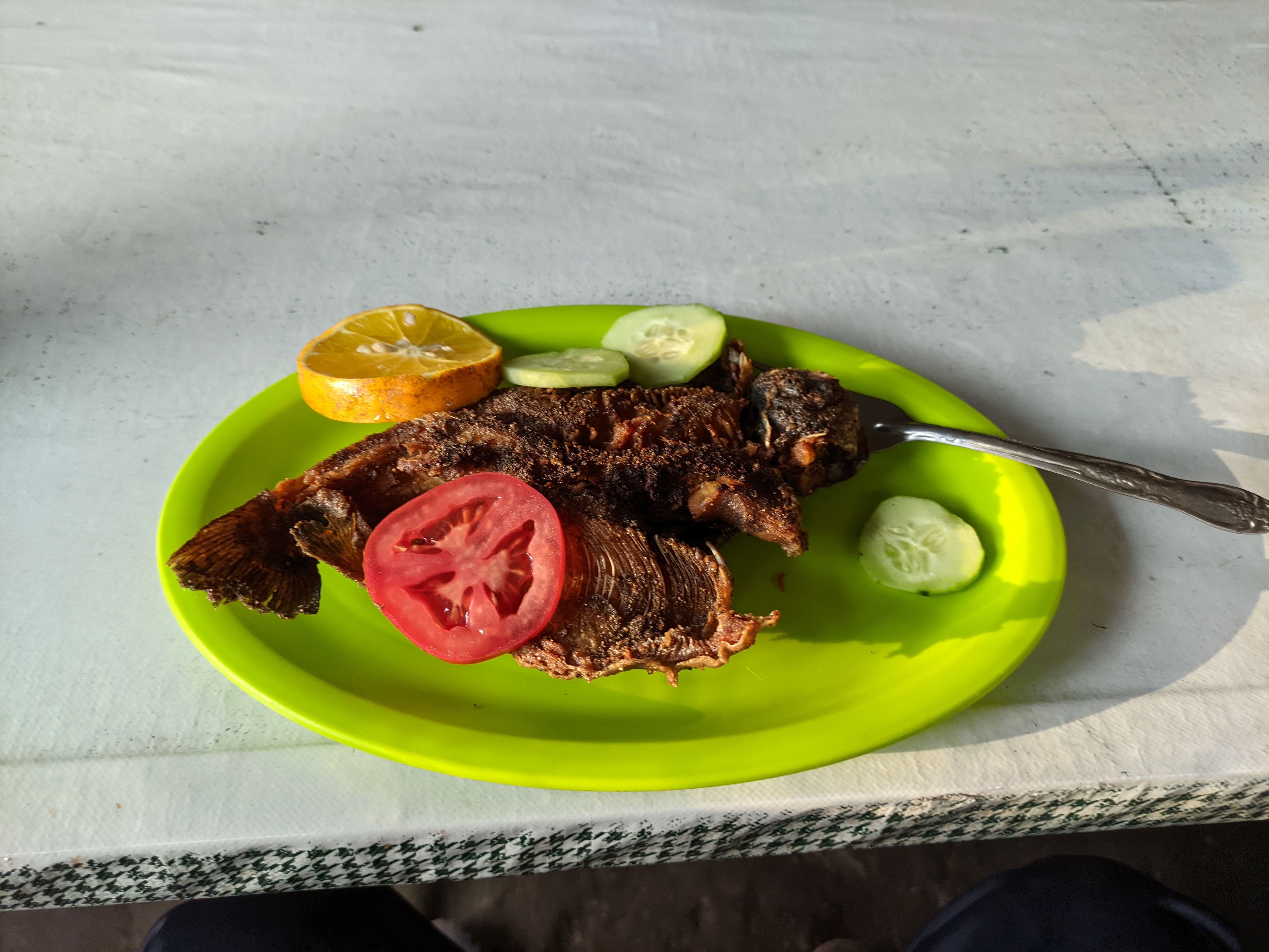 Truchas Valle Escondido image 1