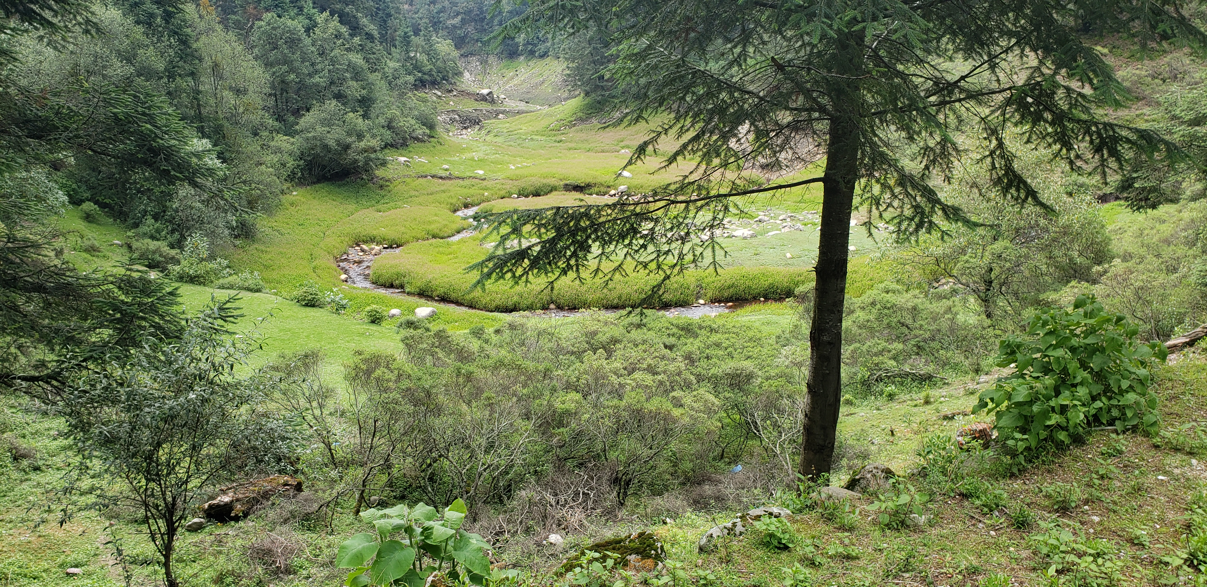 Truchas Valle Escondido image 2