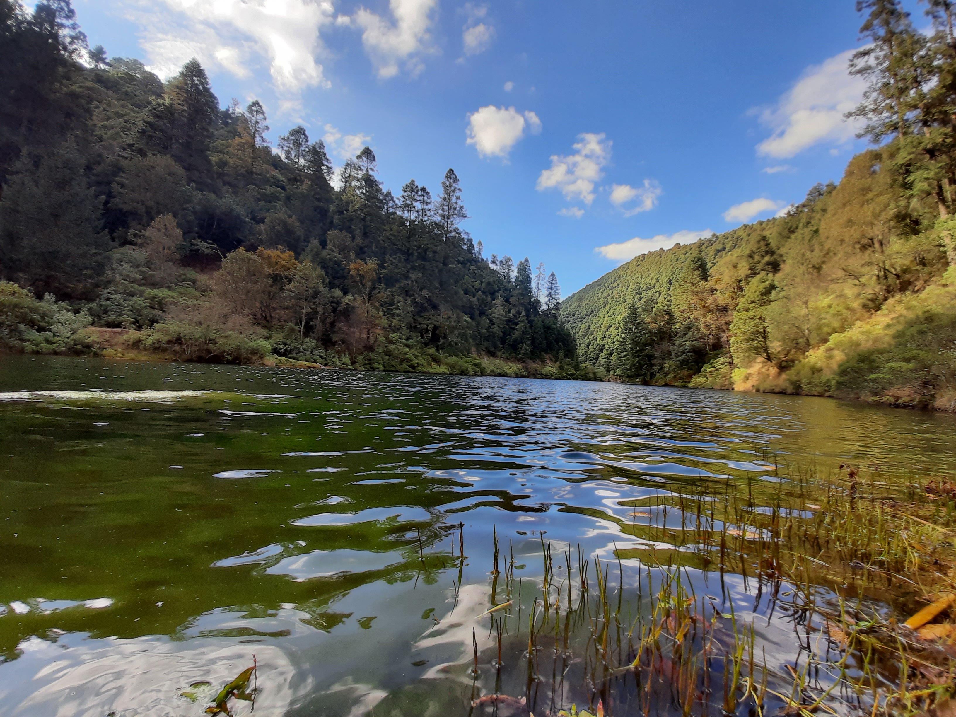 Truchas Valle Escondido image 3