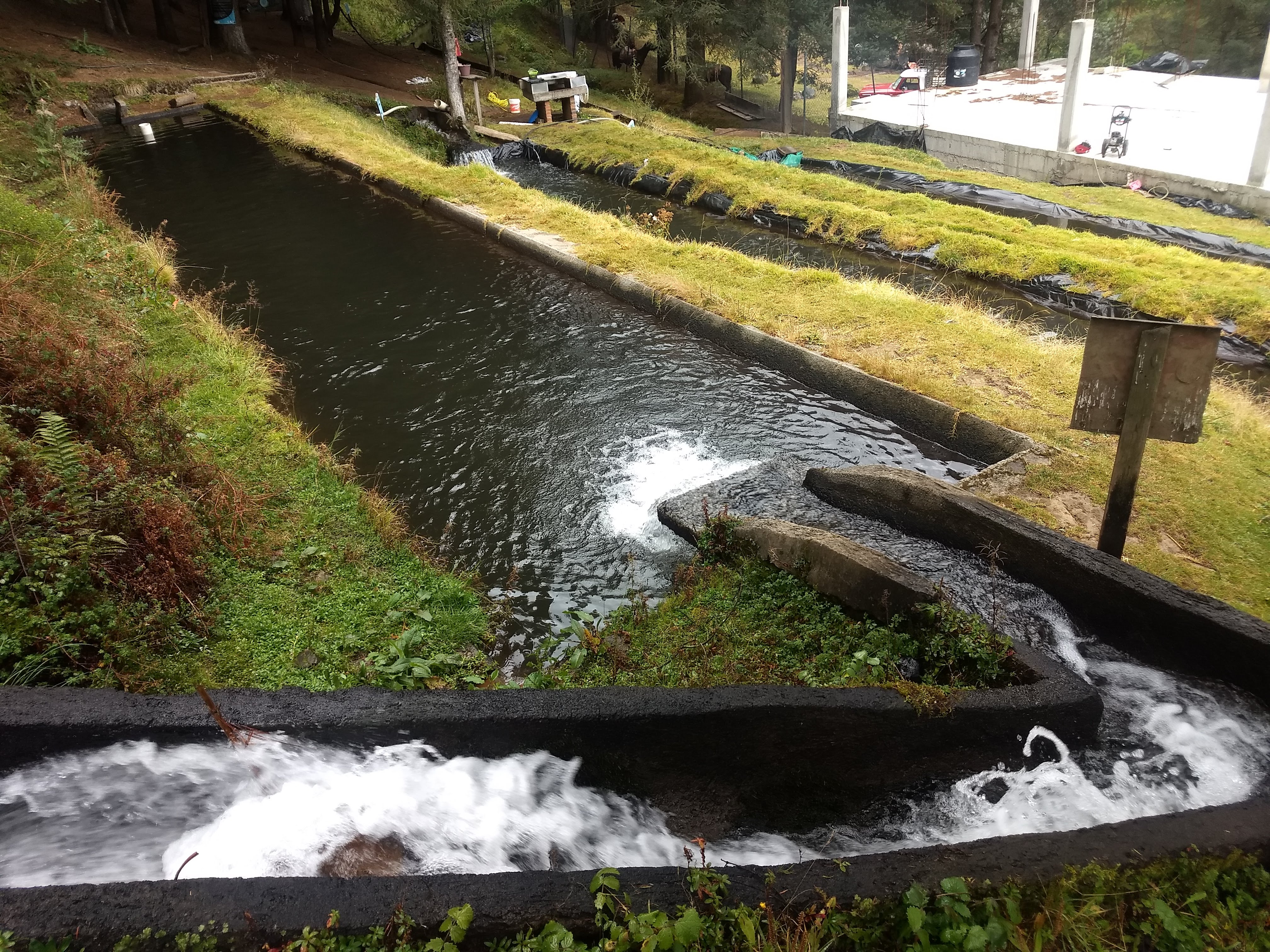 Truchas Valle Escondido image 4