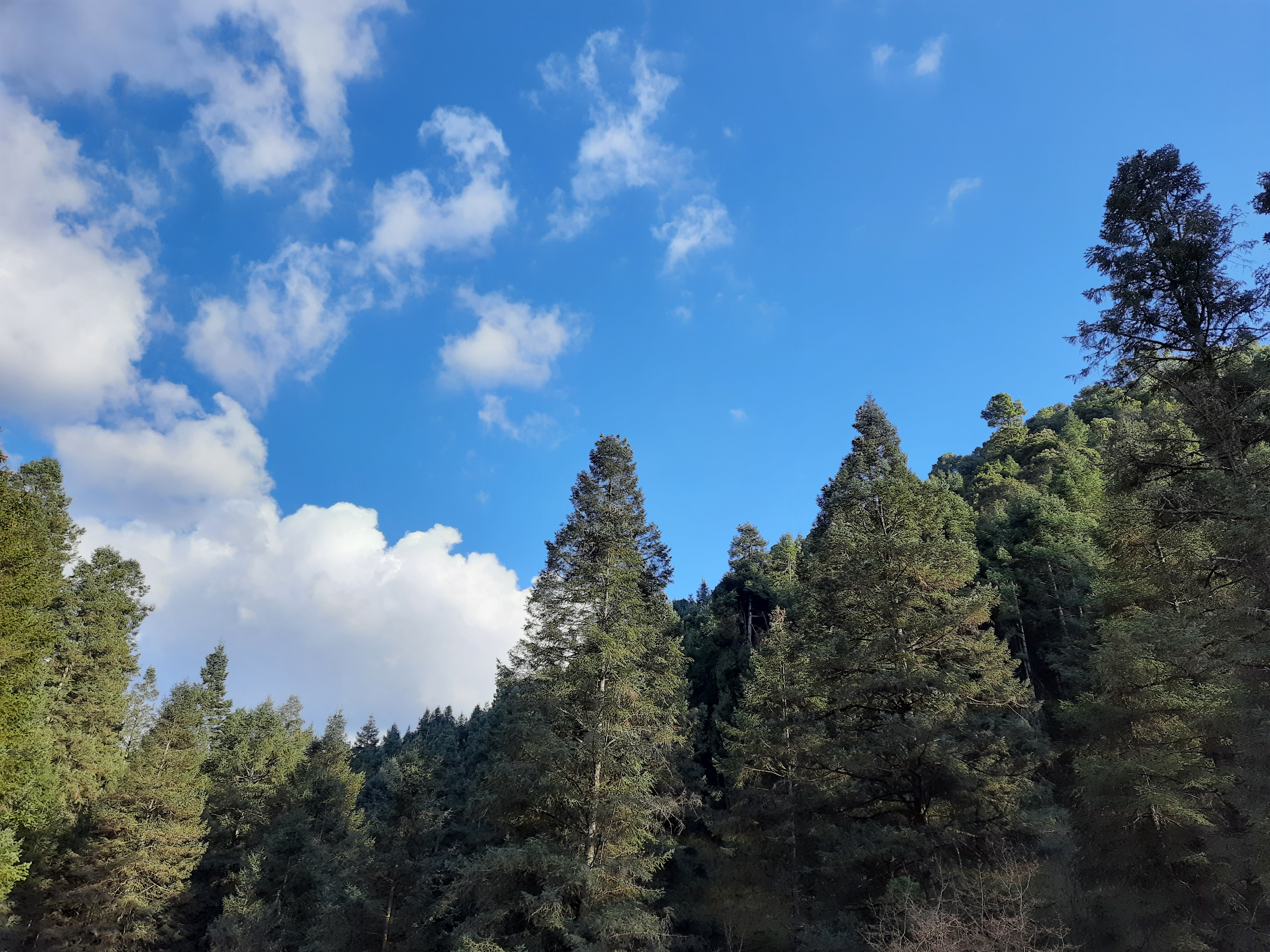 Truchas Valle Escondido image 6