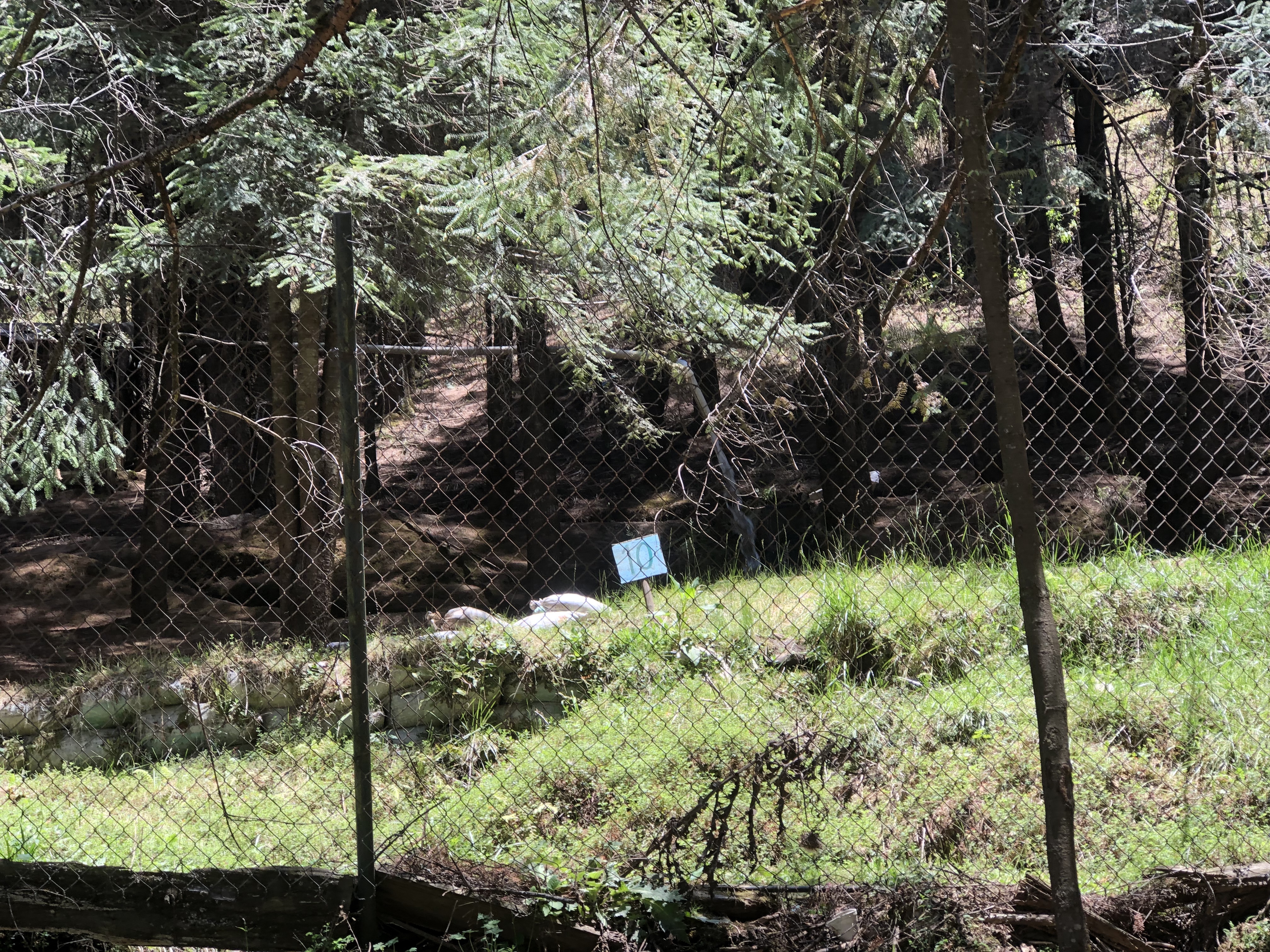 Truchas Valle Escondido image 7