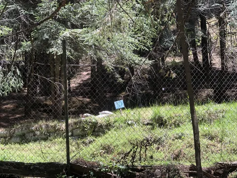 Truchas Valle Escondido image 7