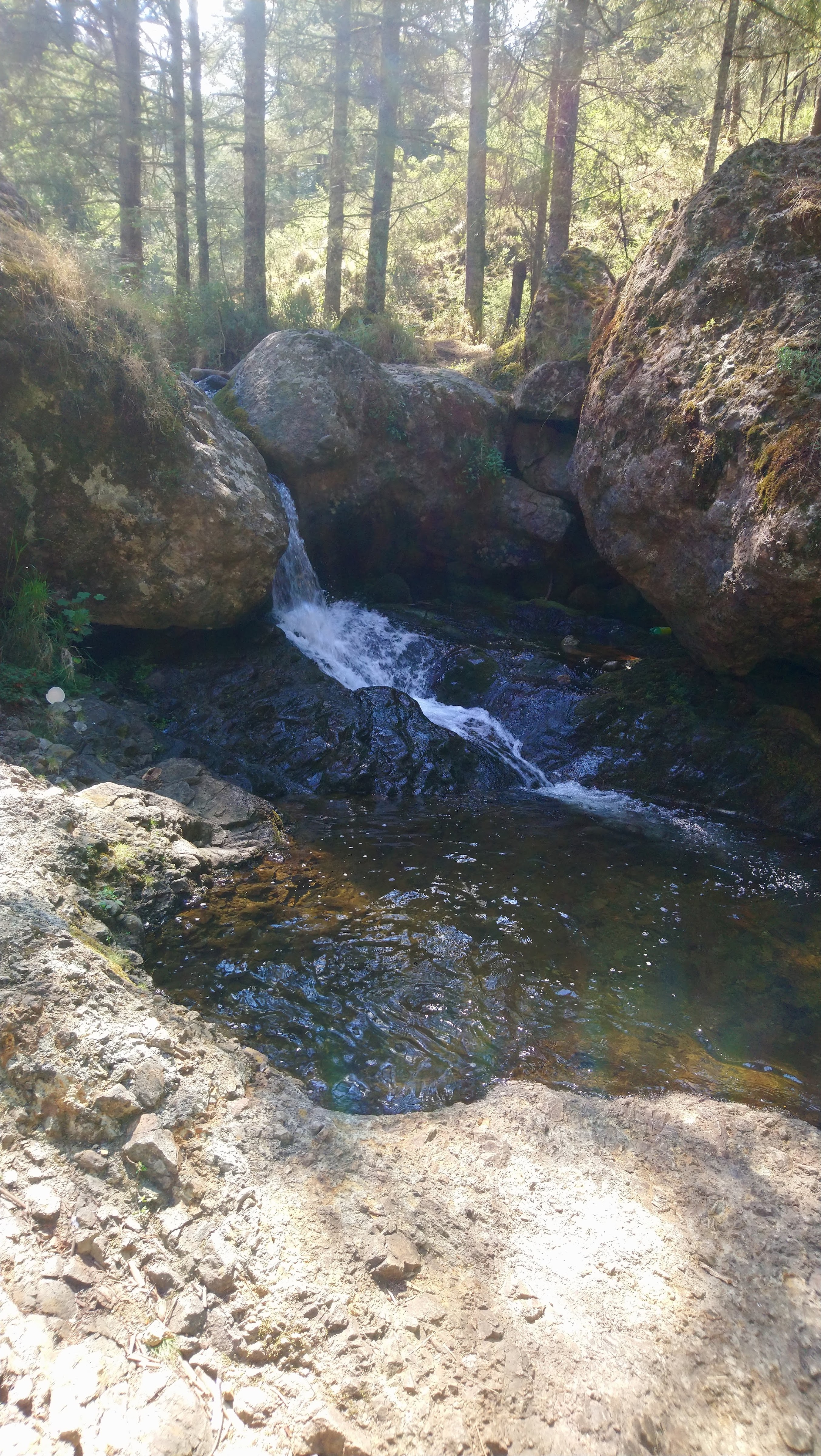 Truchas Valle Escondido image 8