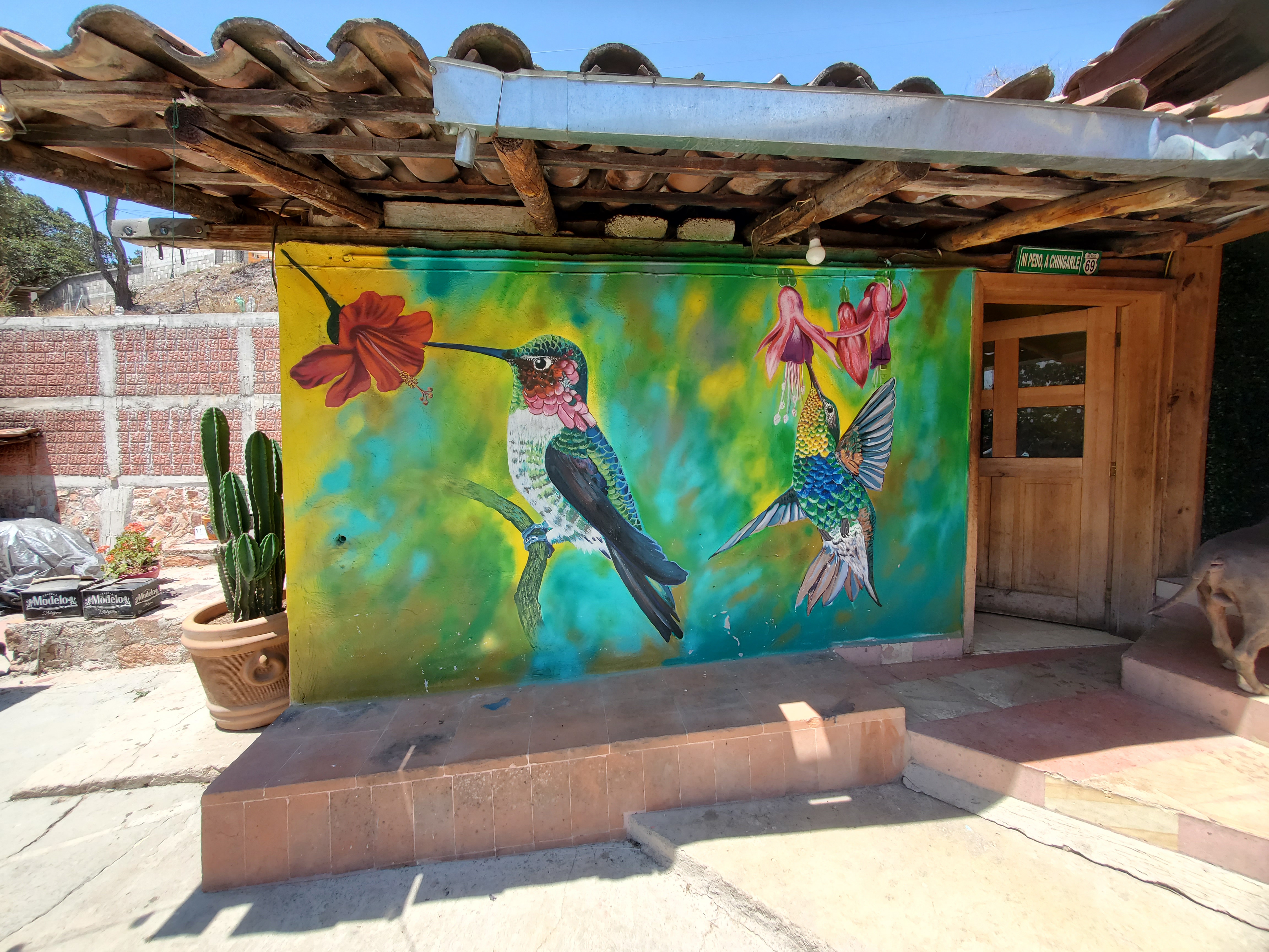 XIQUI•TERRA image 8