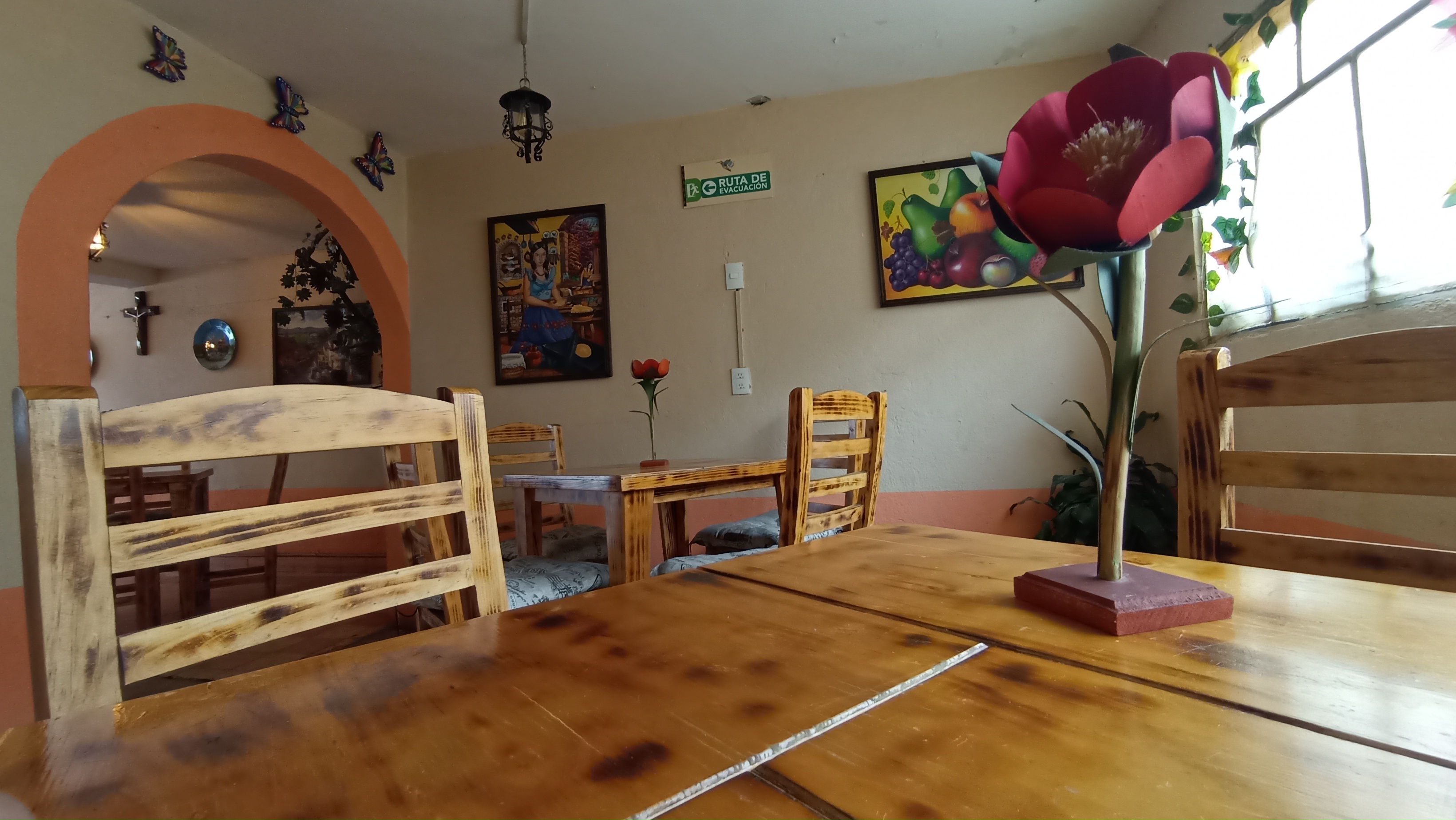 Kühi xiquipilli image 3