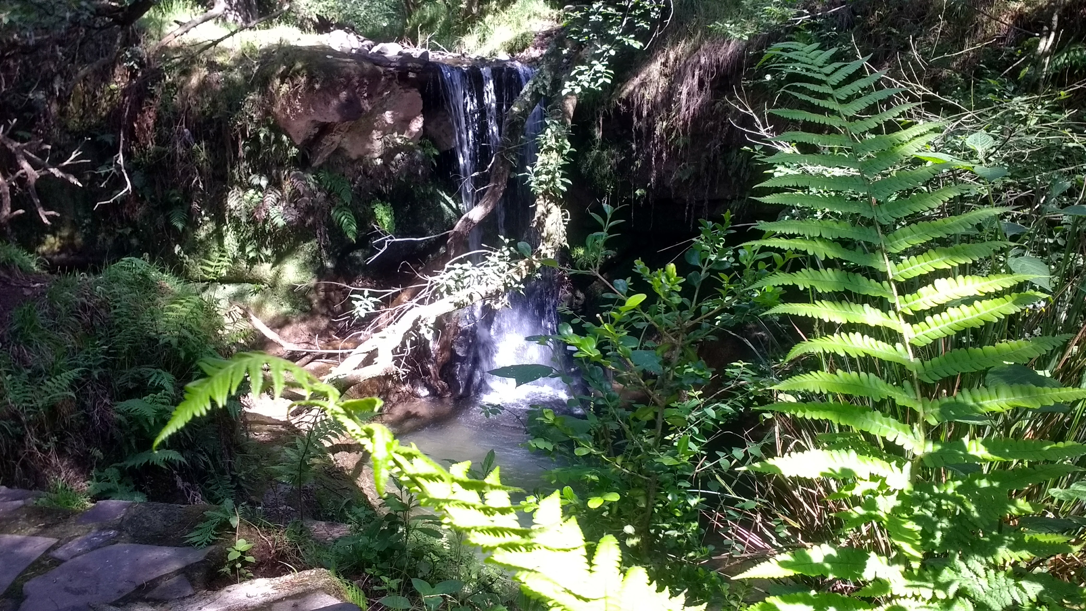 Camping la capilla “restaurante” image 3