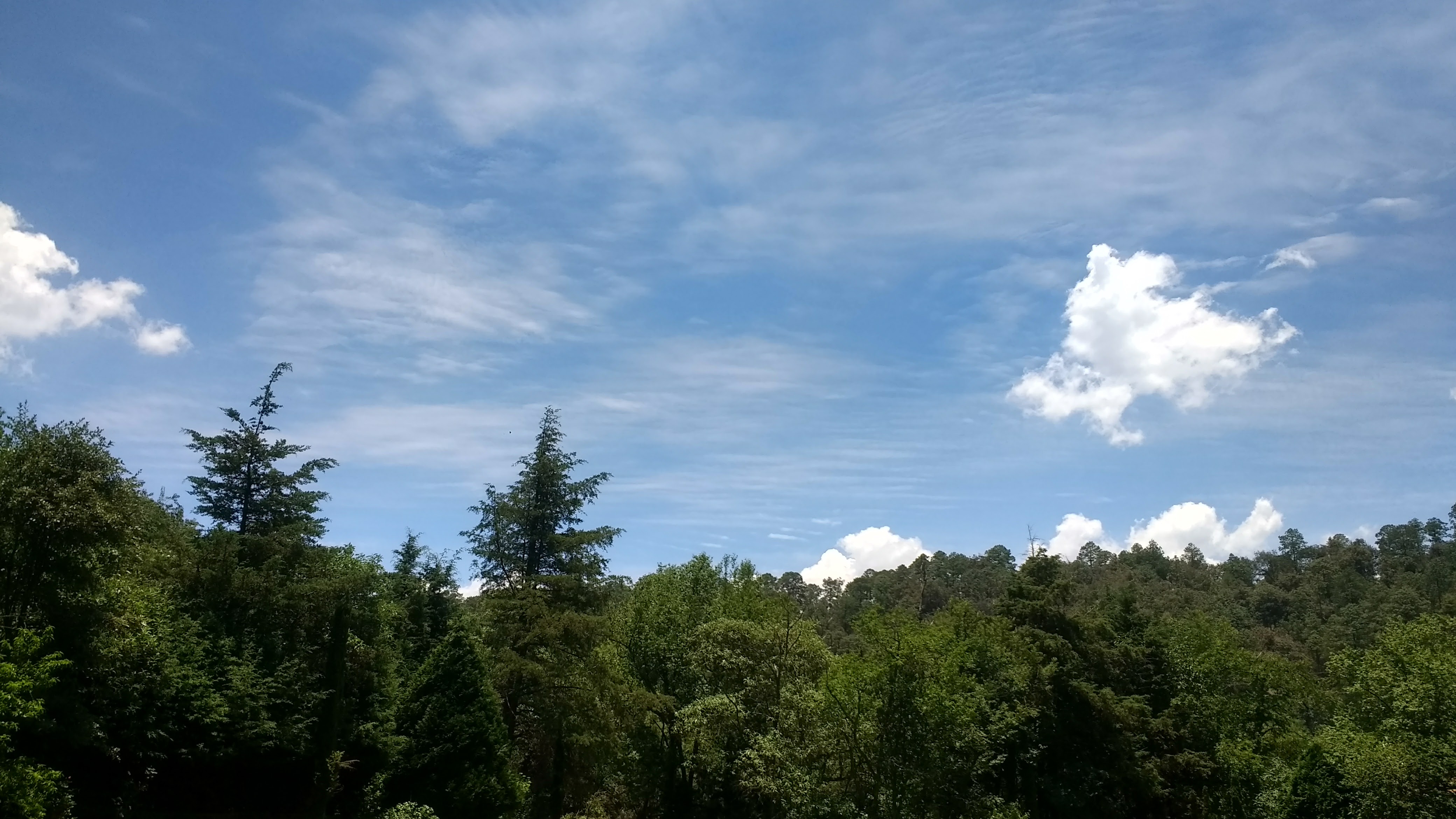 Camping la capilla “restaurante” image 4