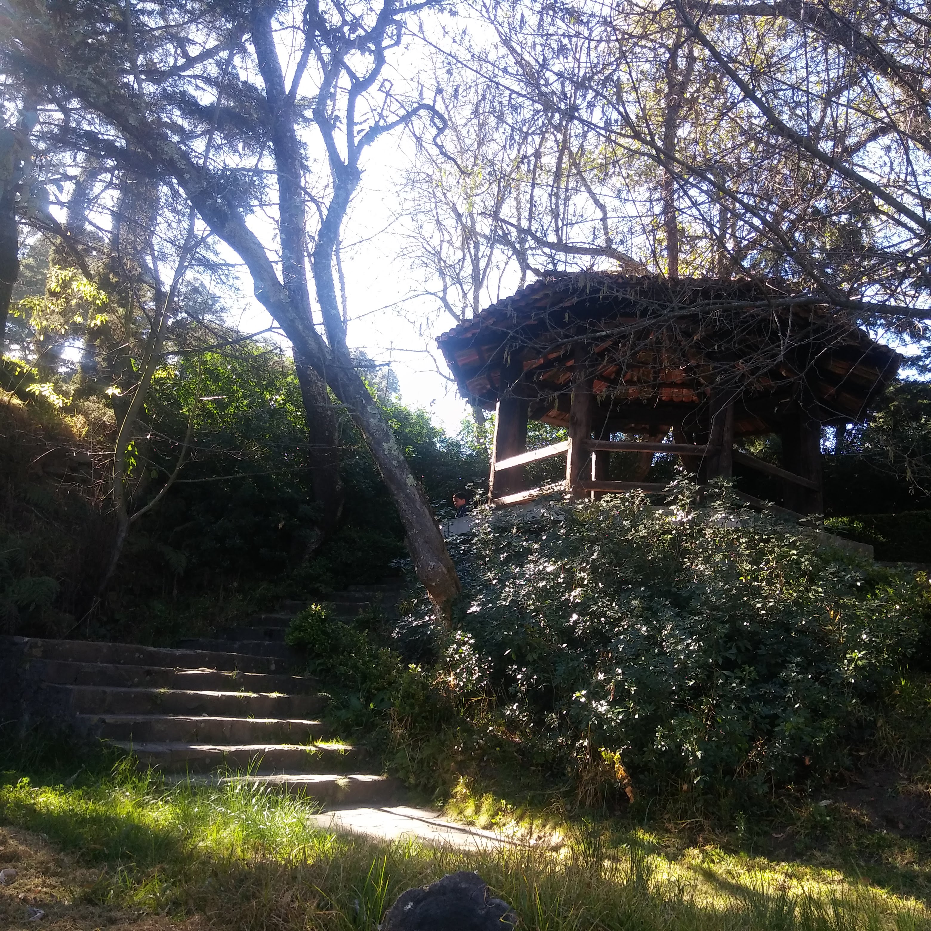 Camping la capilla “restaurante” image 8